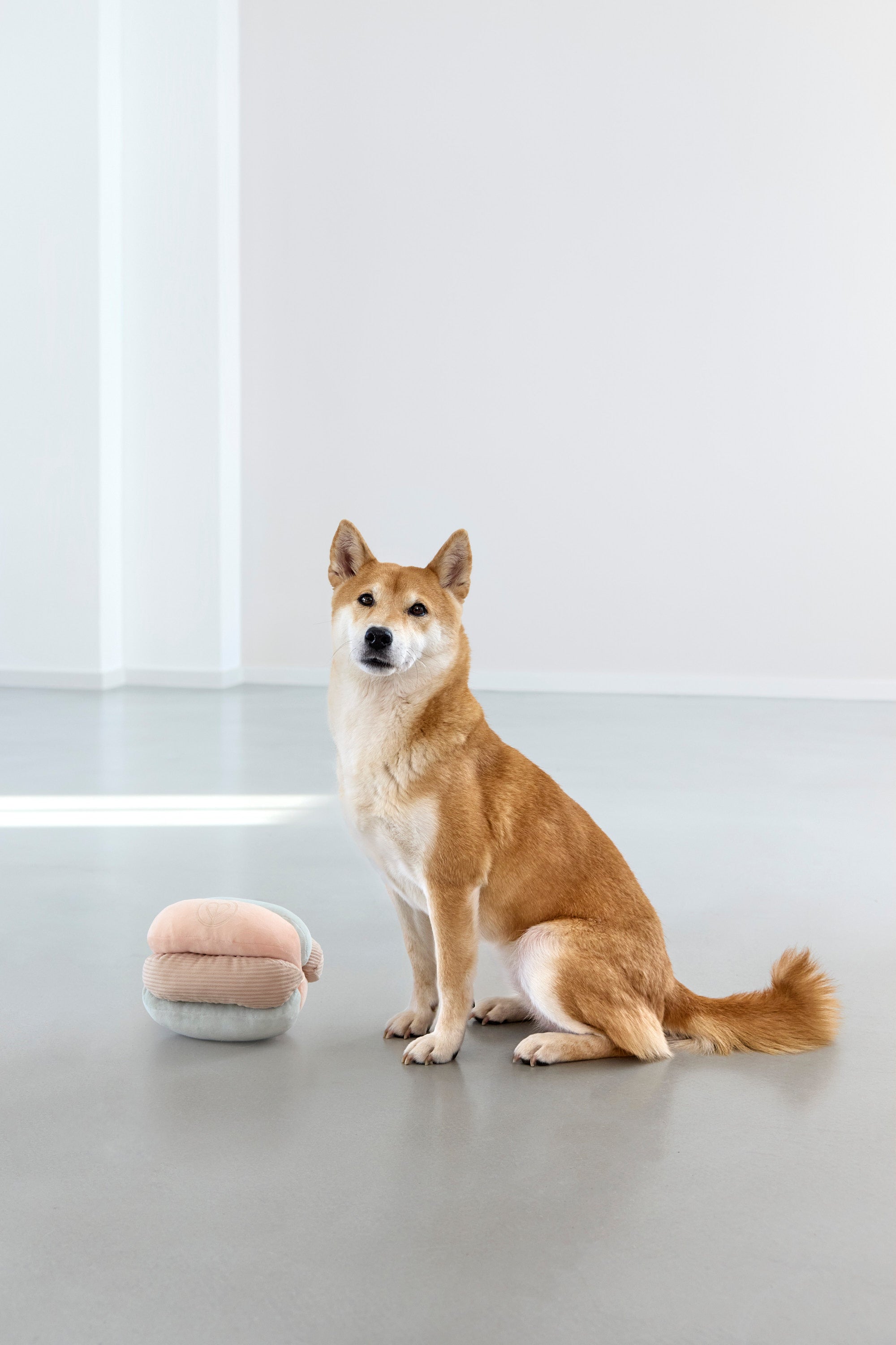 PALOPA Schnüffelspielzeug Brino Welpenspielzeug