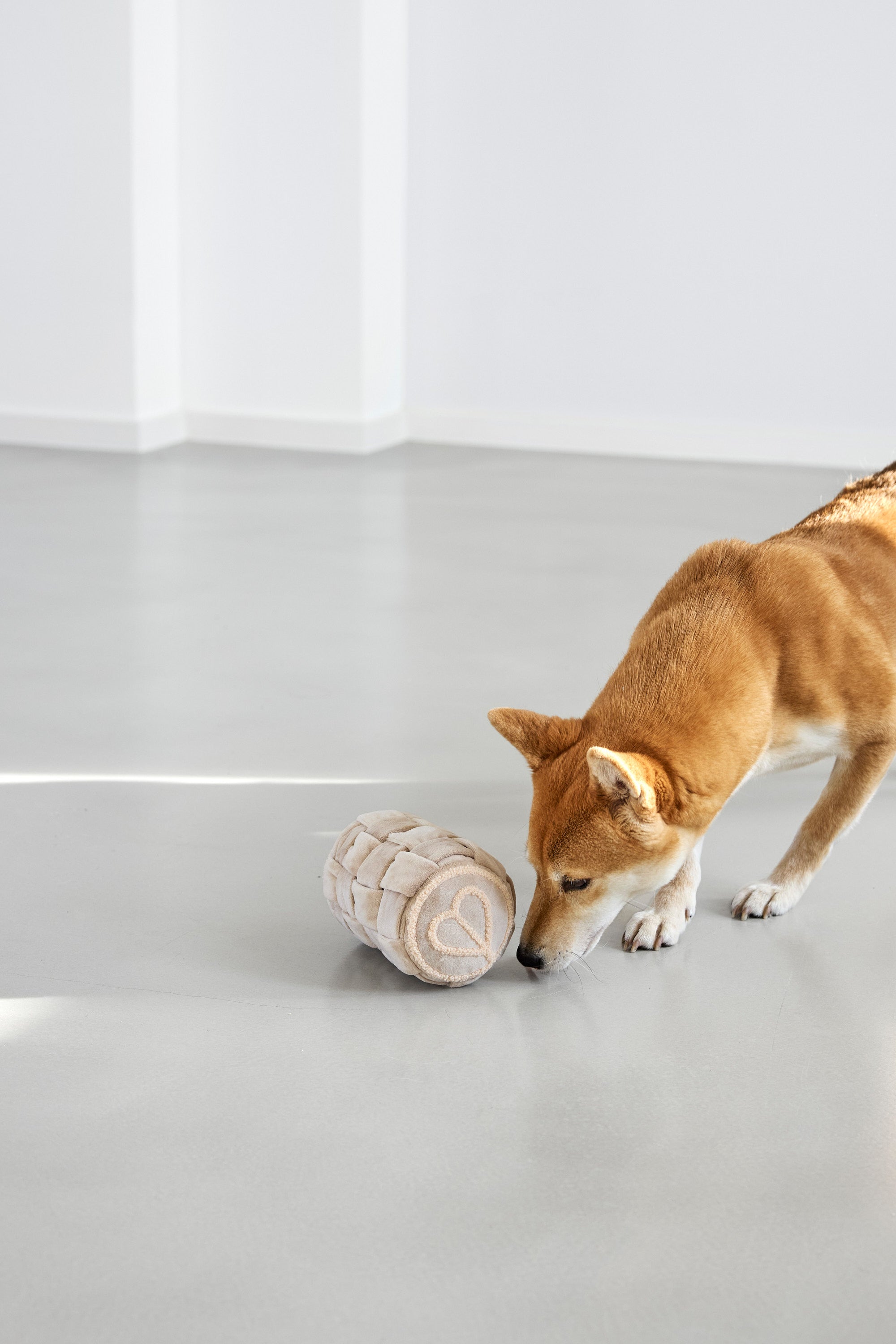 PALOPA Schnüffelspielzeug Kalpi Schnüffelball für Hunde