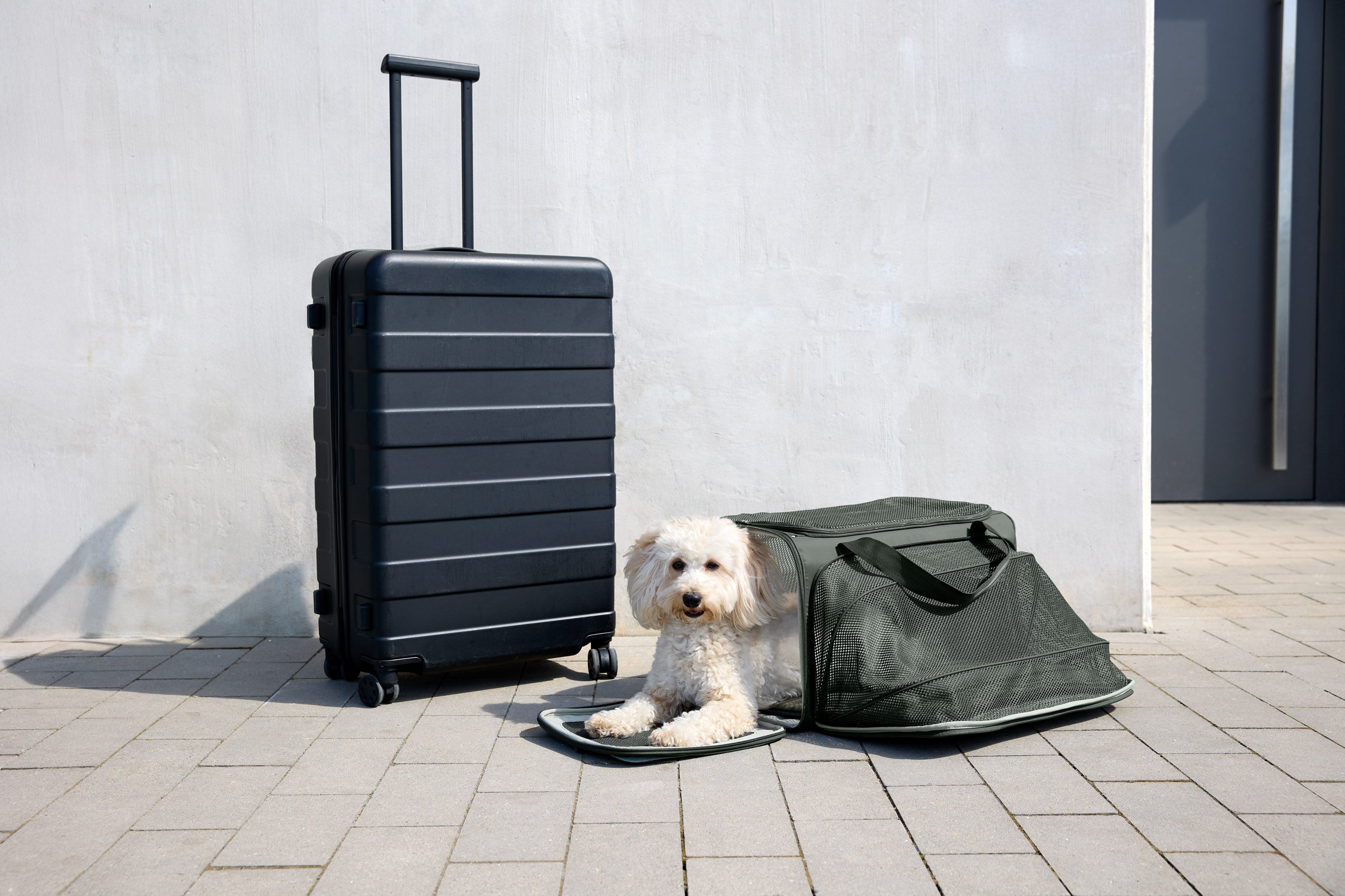 PALOPA Travel Carrier Bag Benno Dunkelgrün Hundereisetasche wasserabweisend