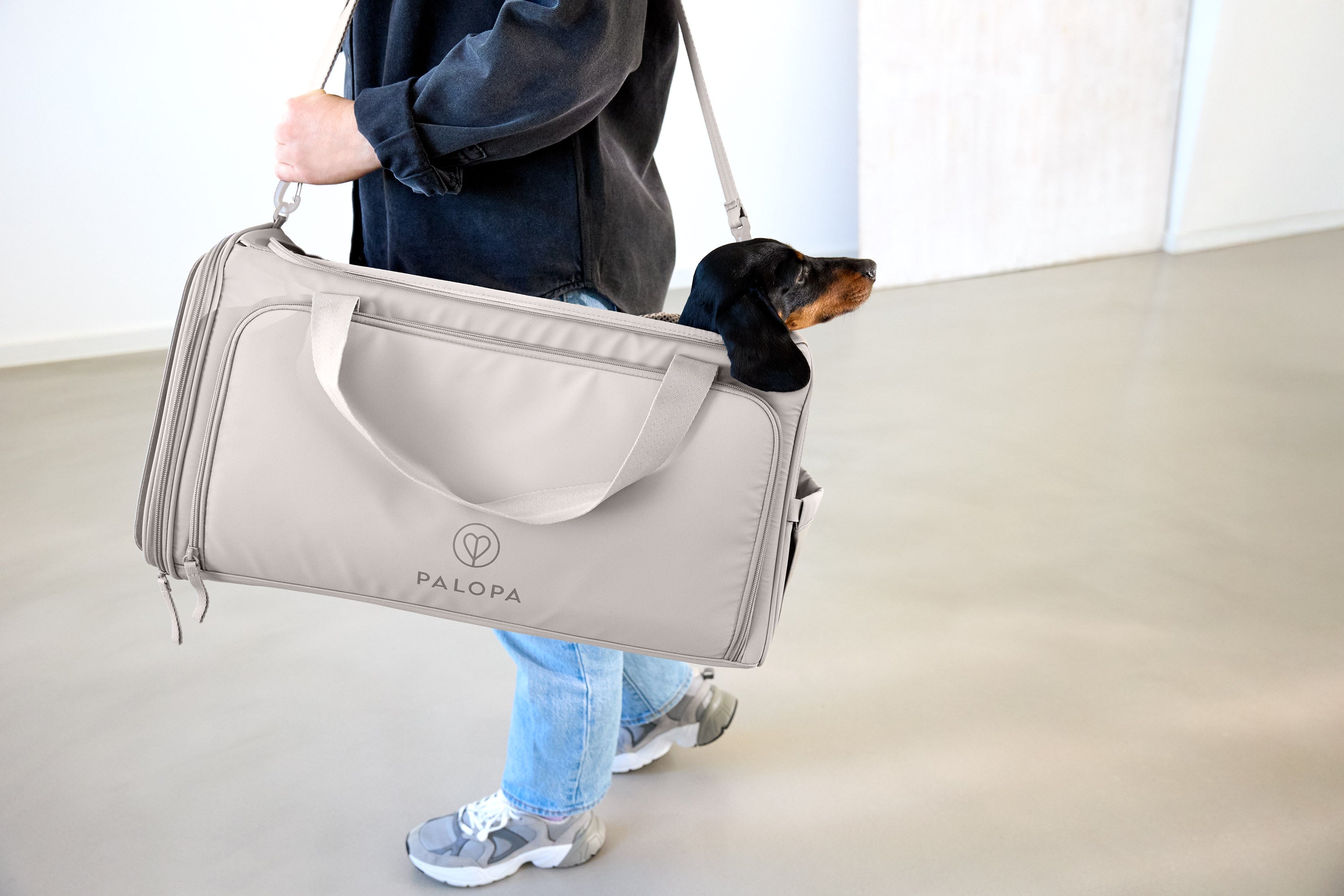 PALOPA Travel Carrier Bag Benno Taupe Hundetasche Dackel