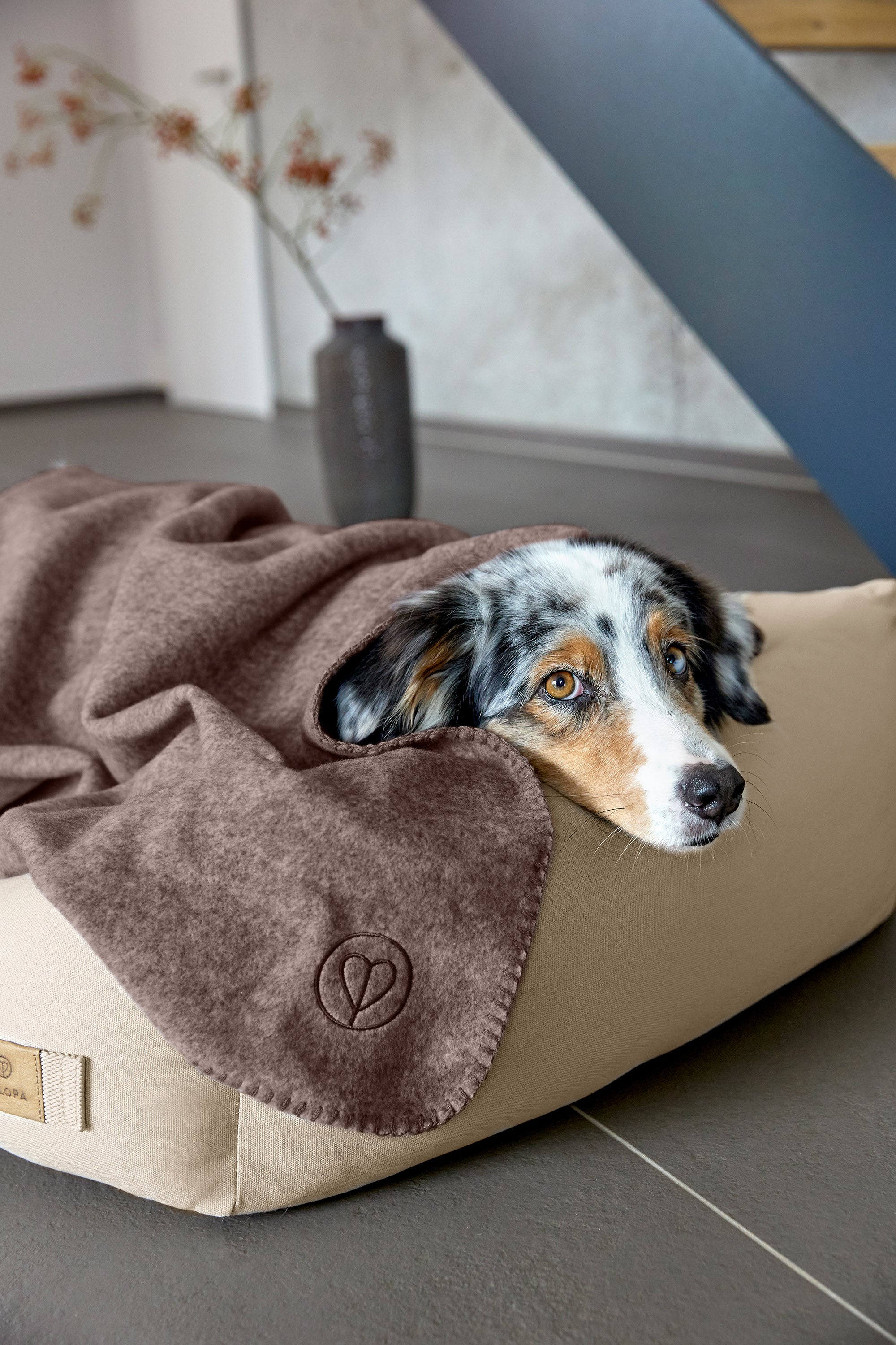 Palopa Hundedecke Mathilda Walnuss duenne Hundedecke