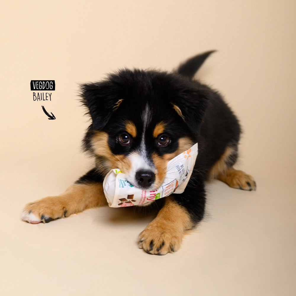 VEGDOG Brainy Bites Leckerlis vegan