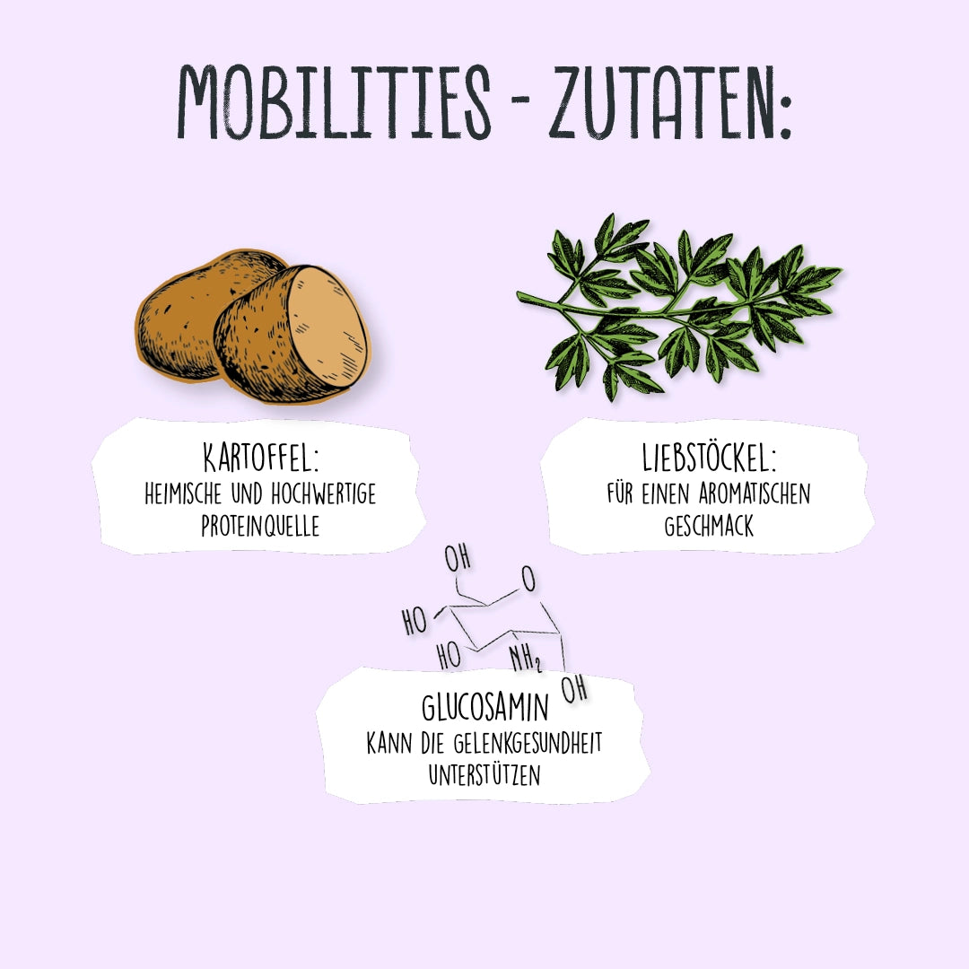 VEGDOG Mobilities Veganer Snack für Hunde
