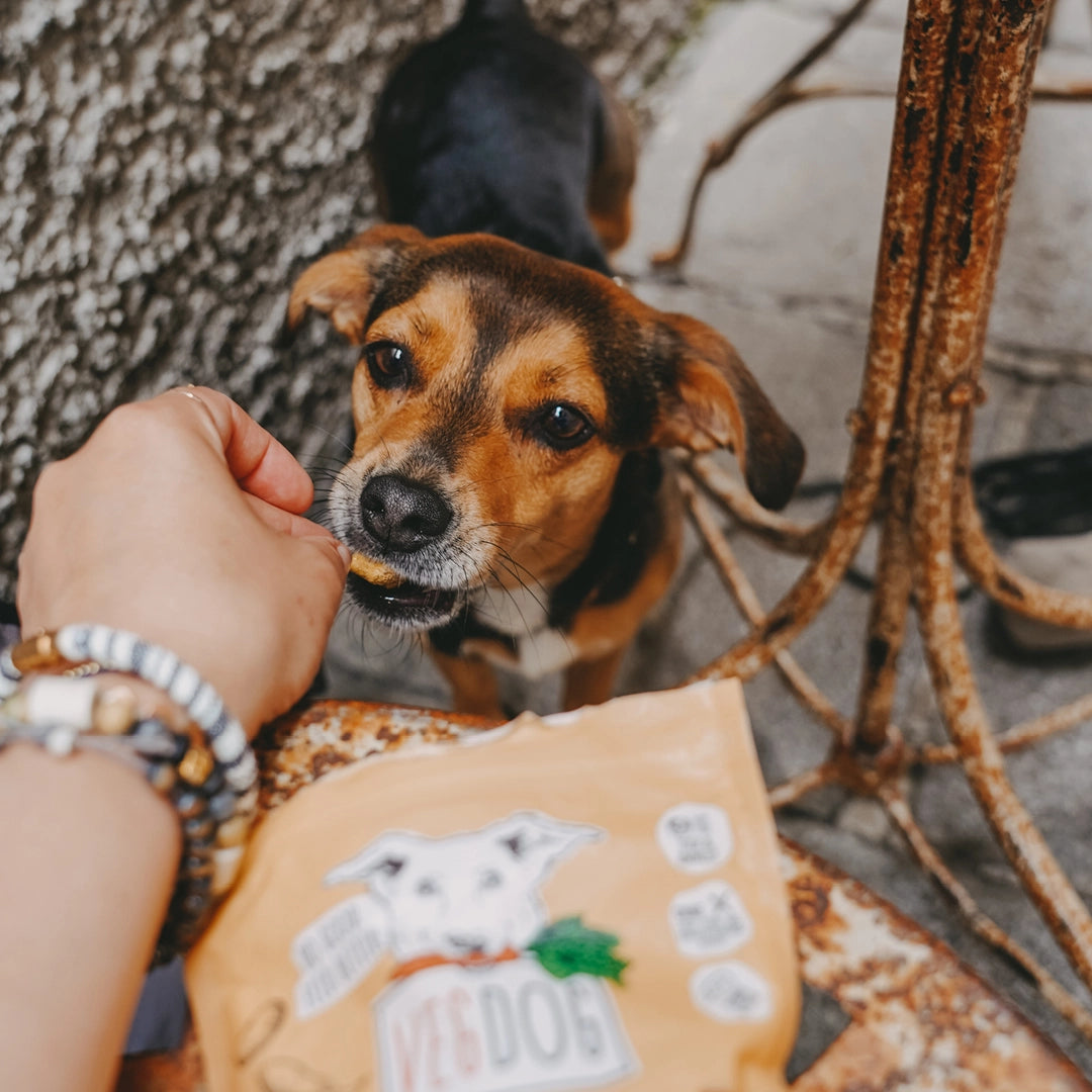 VEGDOG VEGGIES immune Hundesnacks allergikerfreundlich vegan kalorienarm