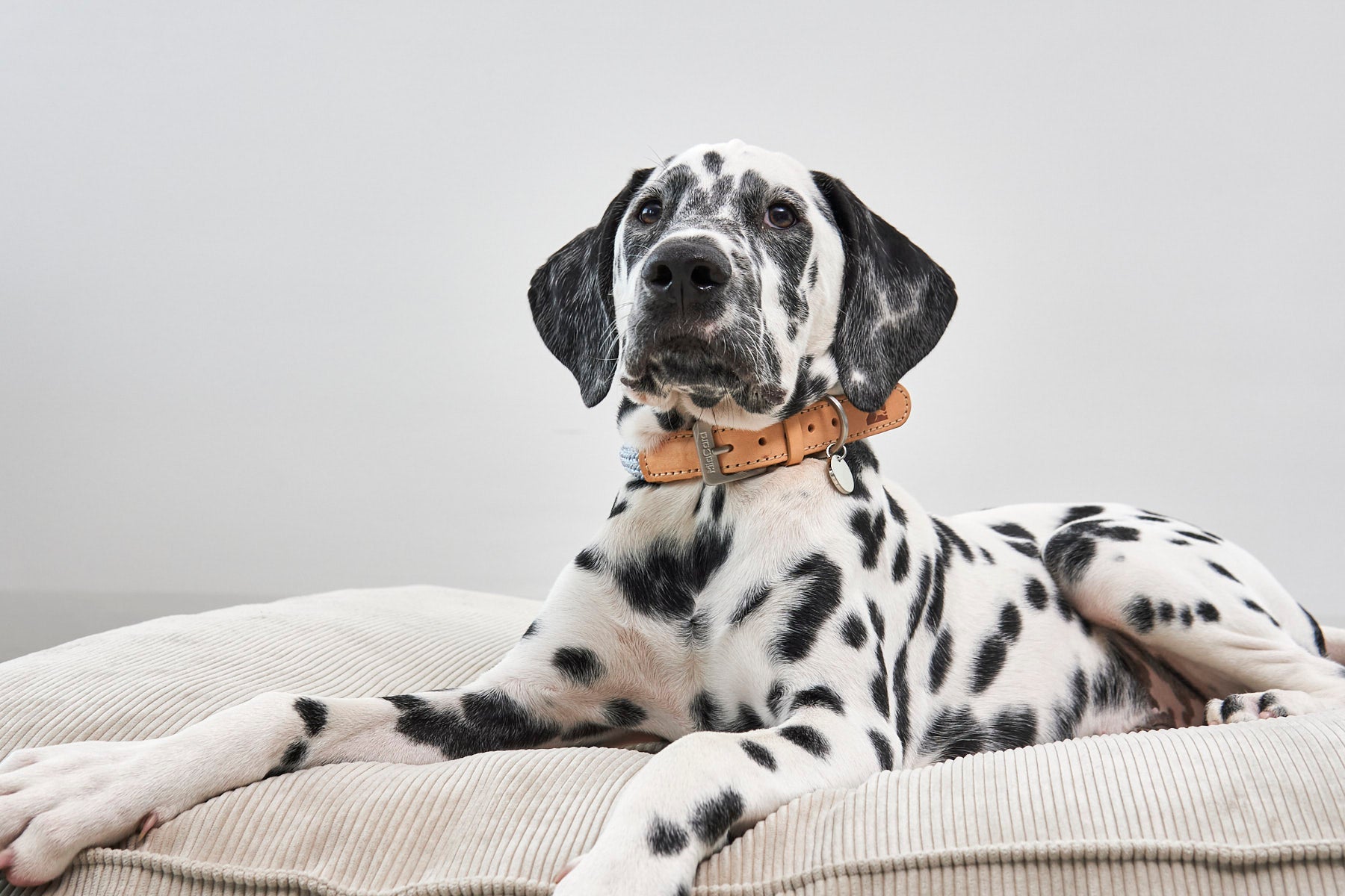 MiaCara Cordo Hundekissen Greige Hundekissen