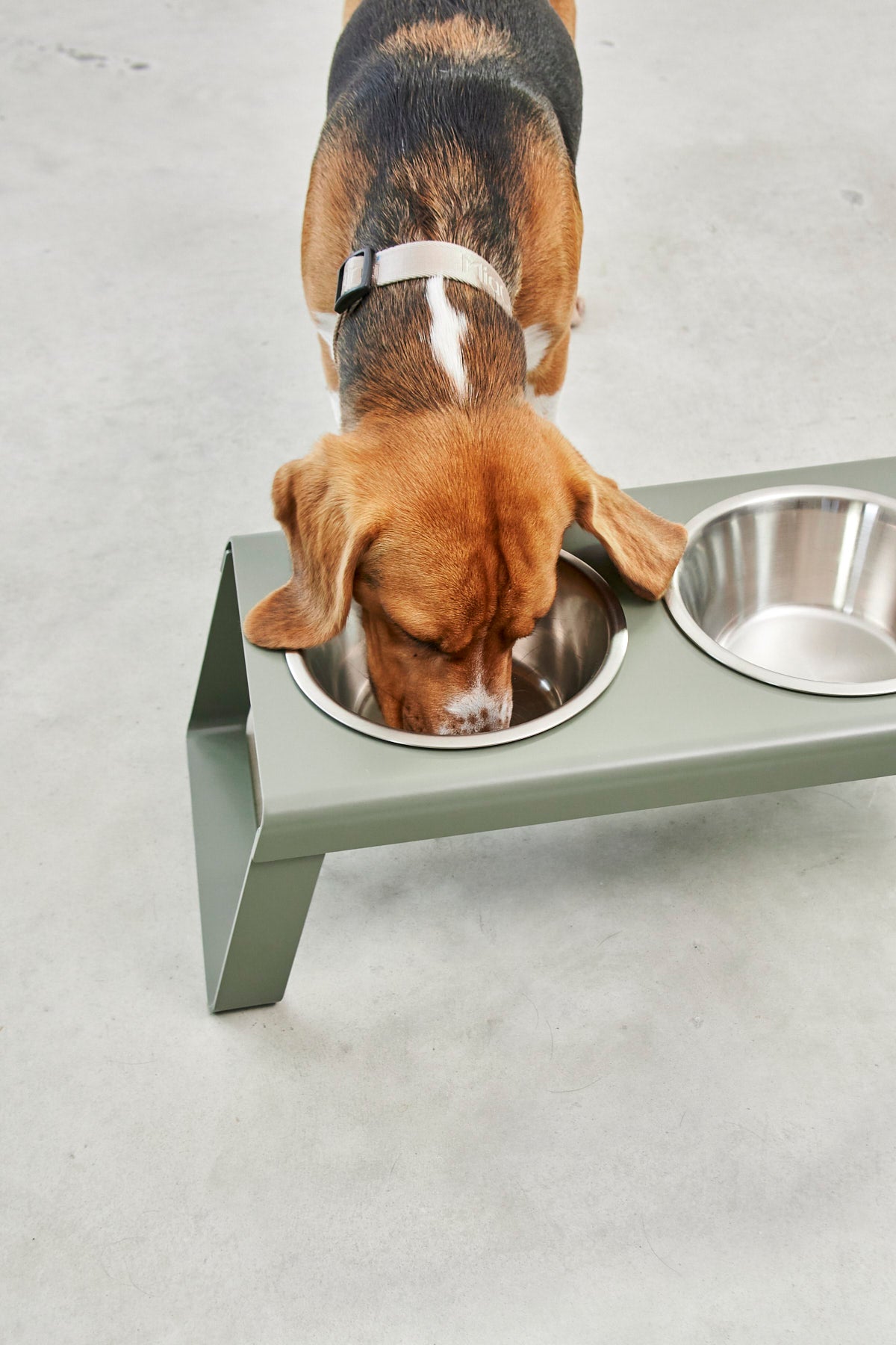MiaCara Desco Napfständer Alu Grolive mit Edelstahlnäpfen Hundenapf Grolive