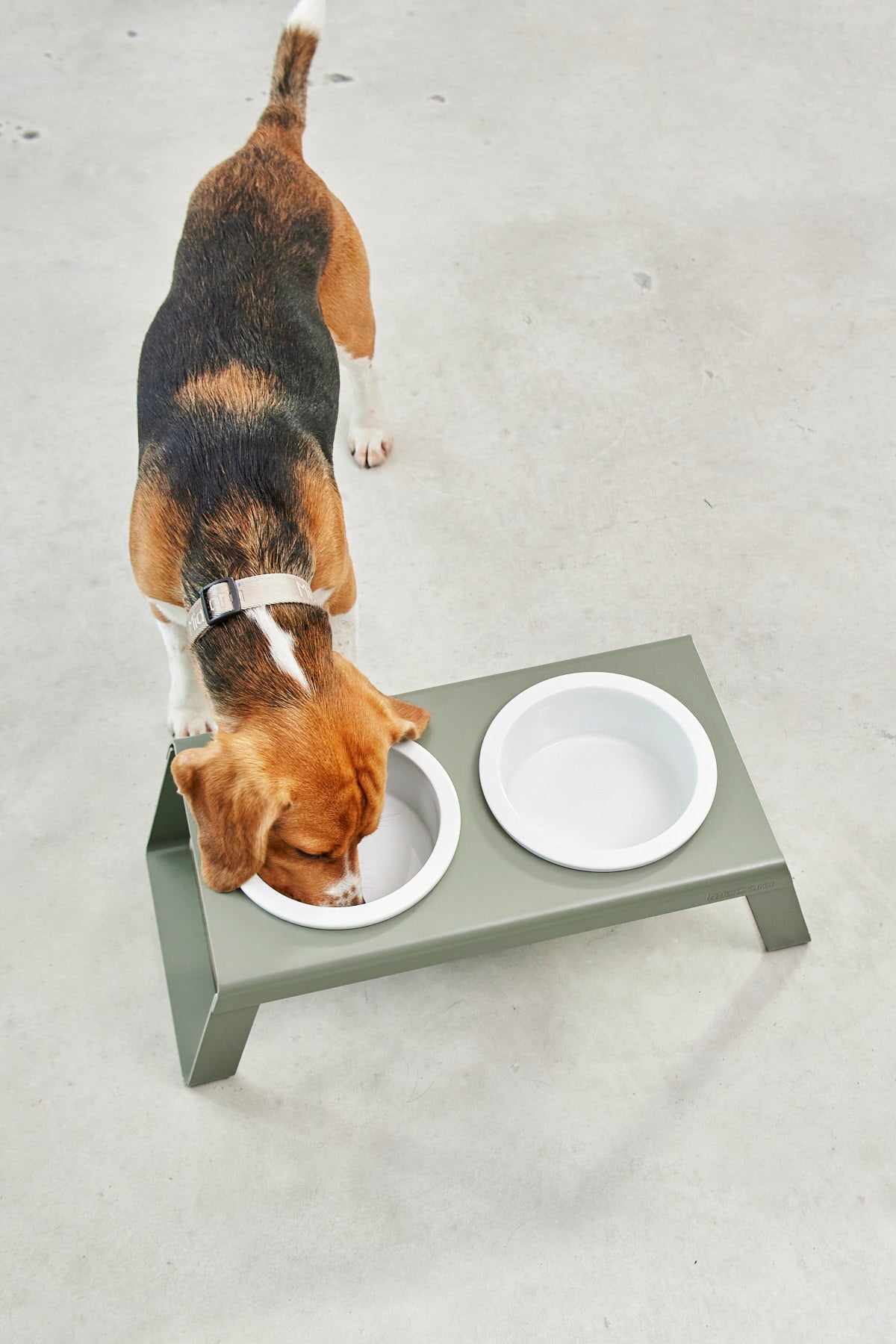MiaCara Desco Napfständer Alu Grolive mit Porzellannäpfen Napfständer für Hunde