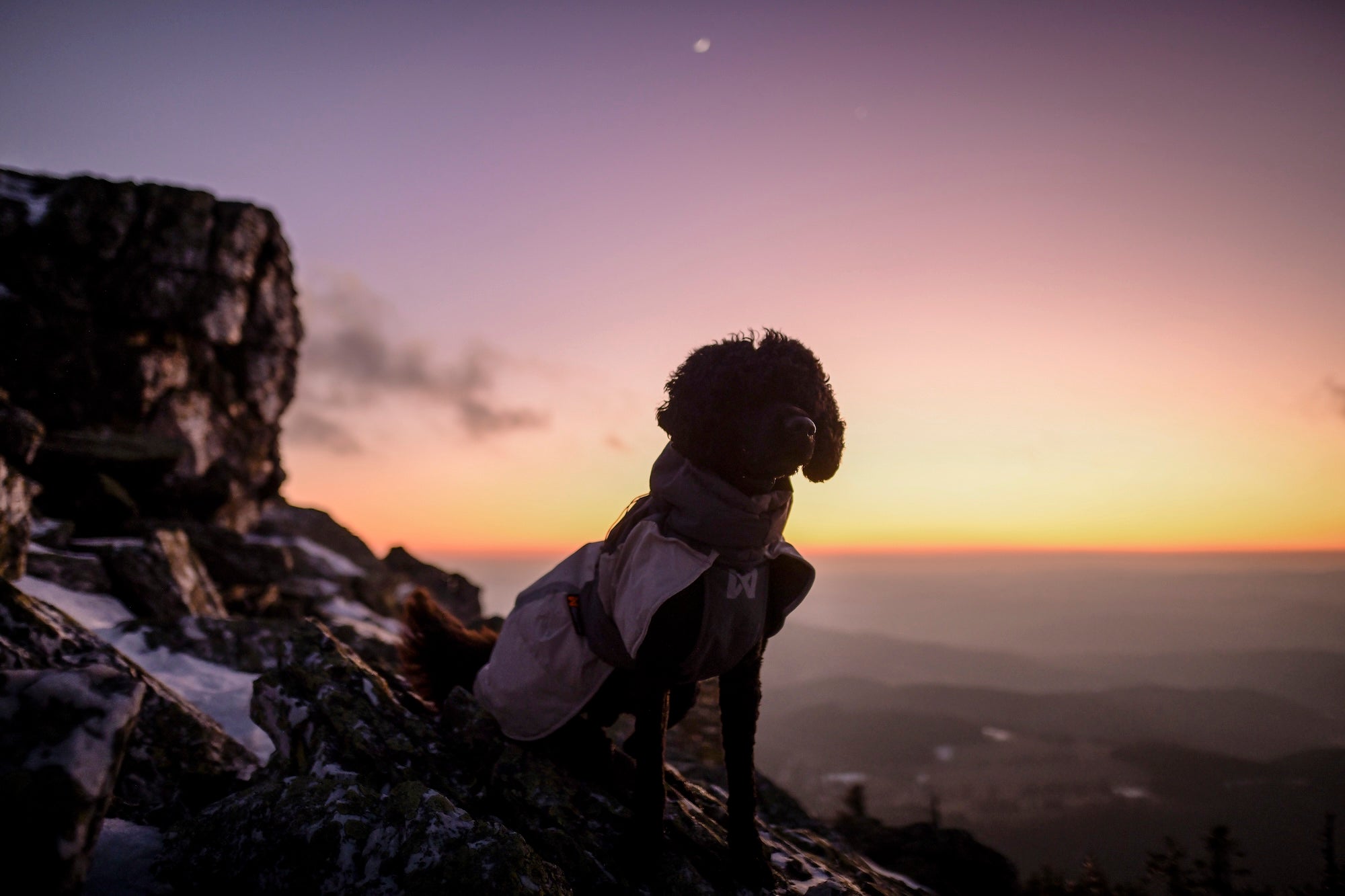 Non-stop dogwear® Glacier Wool Jacket 3.0 Gray Wintermantel für Hunde wasserabweisend Hundewintermantel