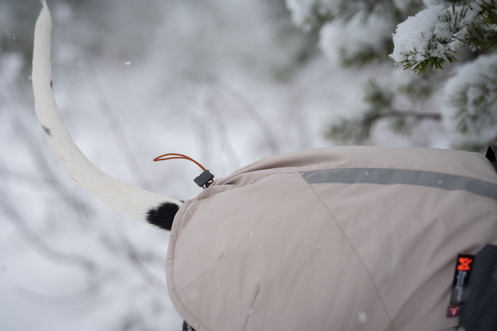 Non-stop dogwear® Glacier Wool Jacket 3.0 Gray Wintermantel für Hunde