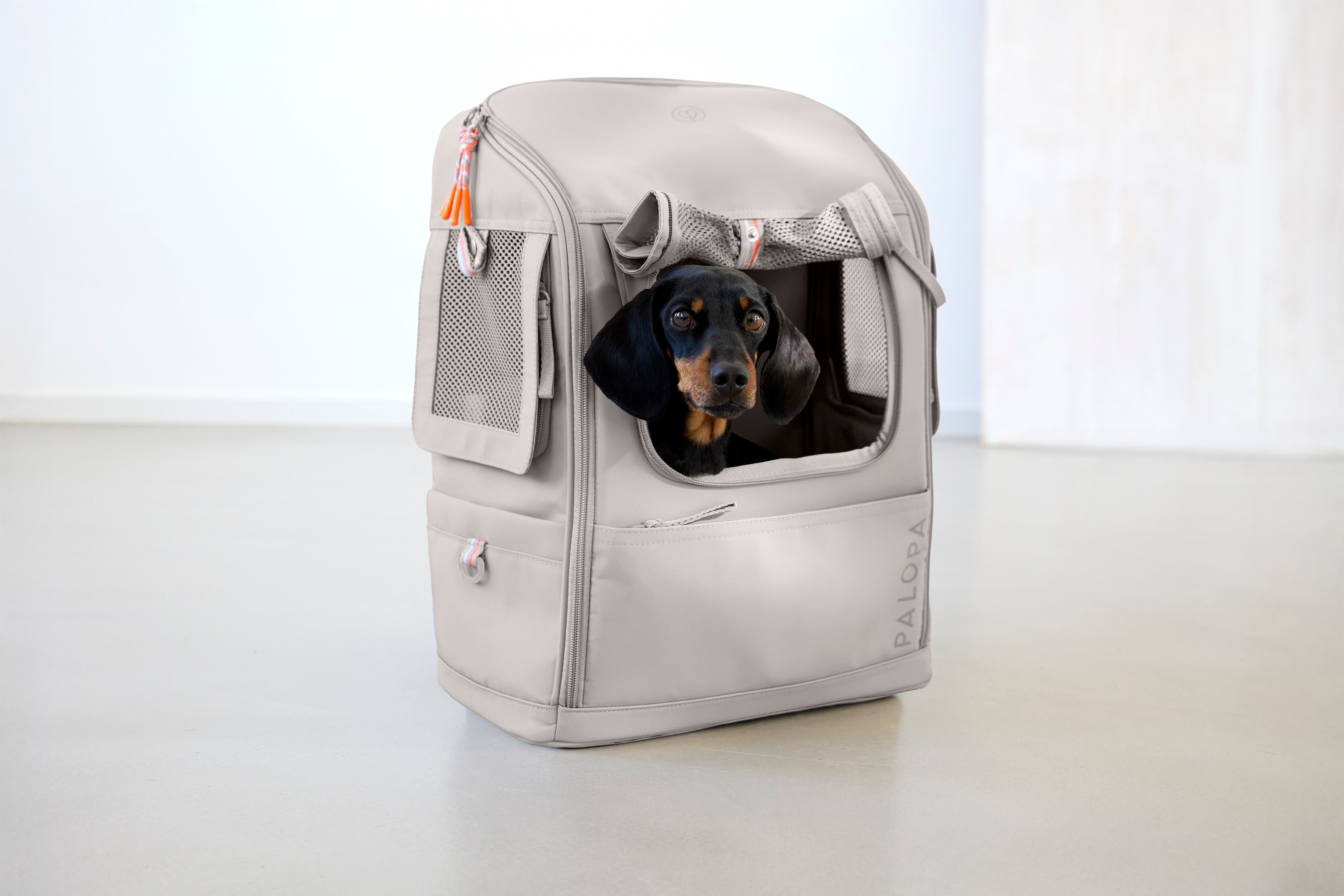 PALOPA Hundetragerucksack Kari Taupe Hunderucksack