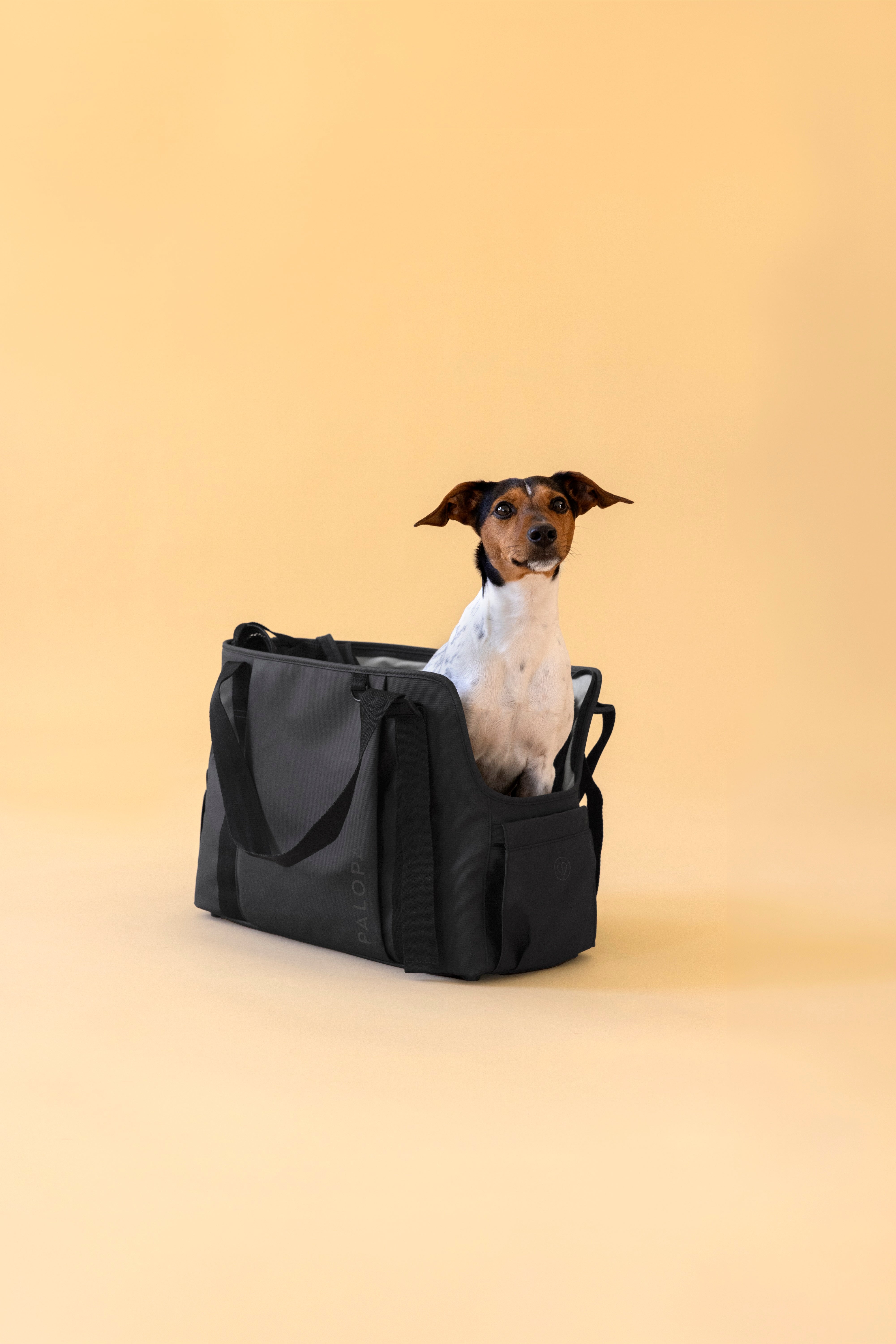 PALOPA Hundetragetasche Weda Schwarz