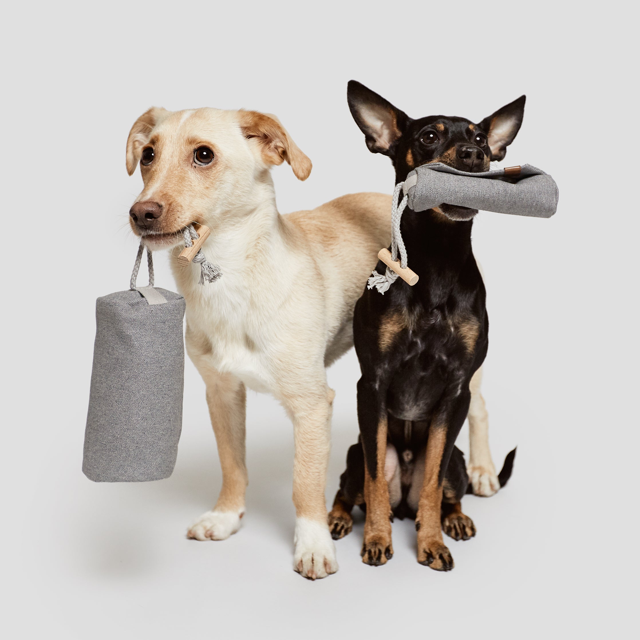 Cloud7 Futter Dummy Heather Grey Futter Dummy XS Heather Grey Hundetraining
