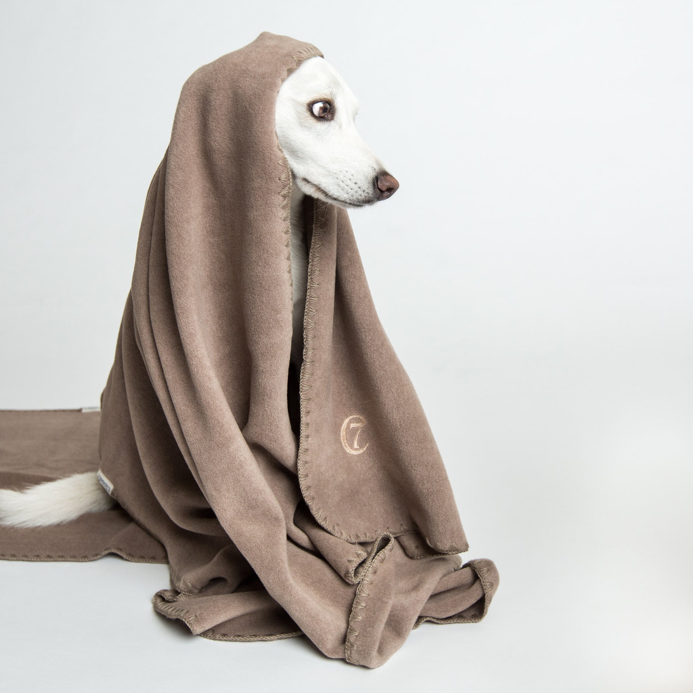 Cloud7 Hundedecke Soft Fleece Sand Hundedecke Sofa