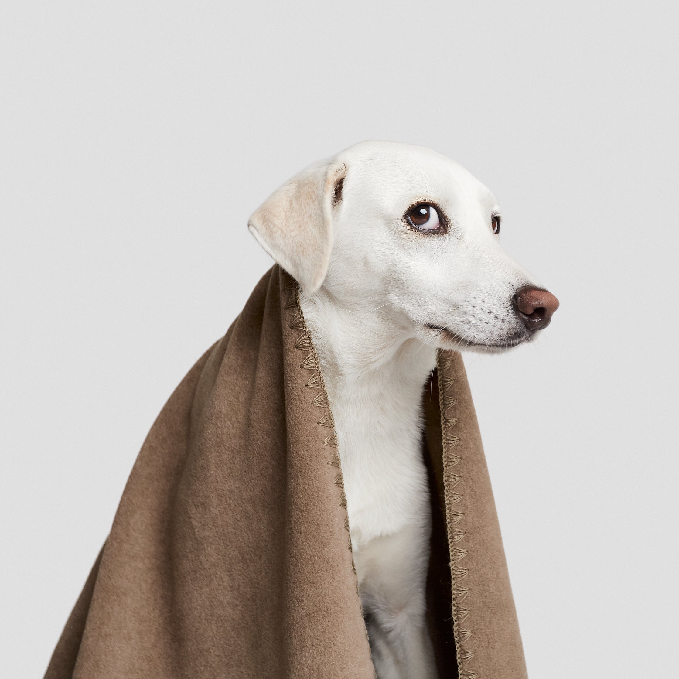 Cloud7 Hundedecke Soft Fleece Sand Hundedecke für unterwegs
