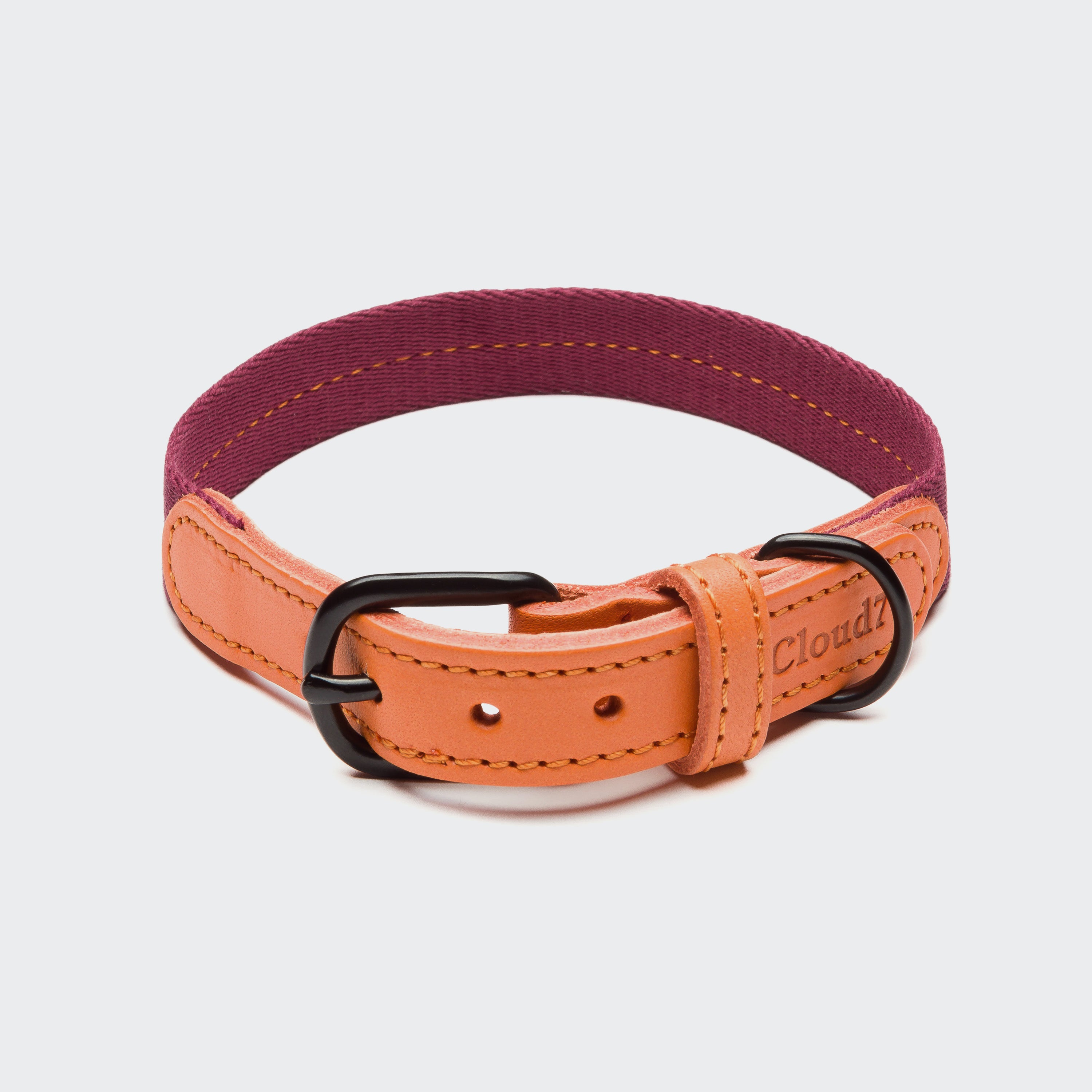 Cloud7 Hundehalsband Madeira Papaya Zweifarbiges Hundehalsband