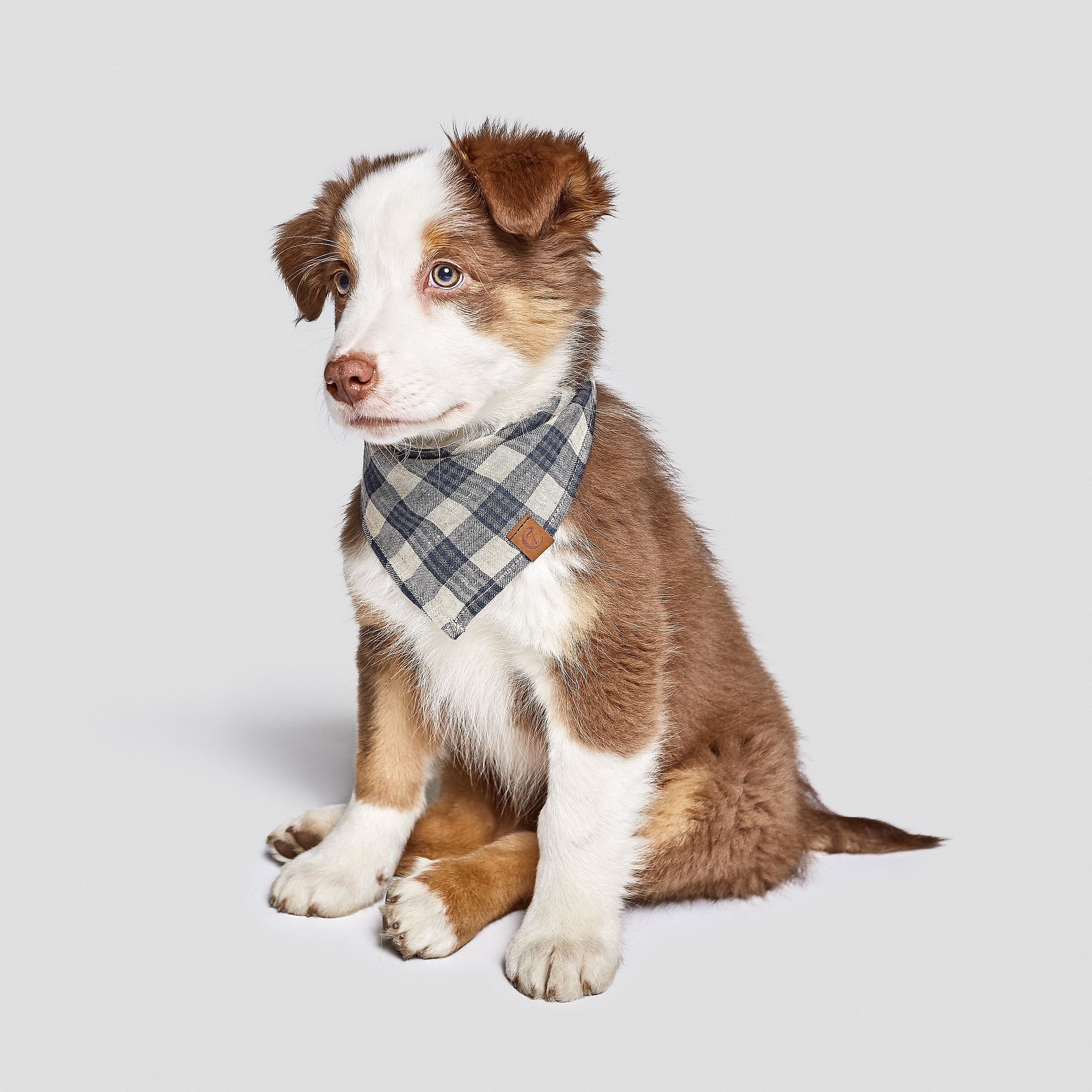 Cloud7 Bandana Check Dark Blue - Beige Halstuch für Hunde