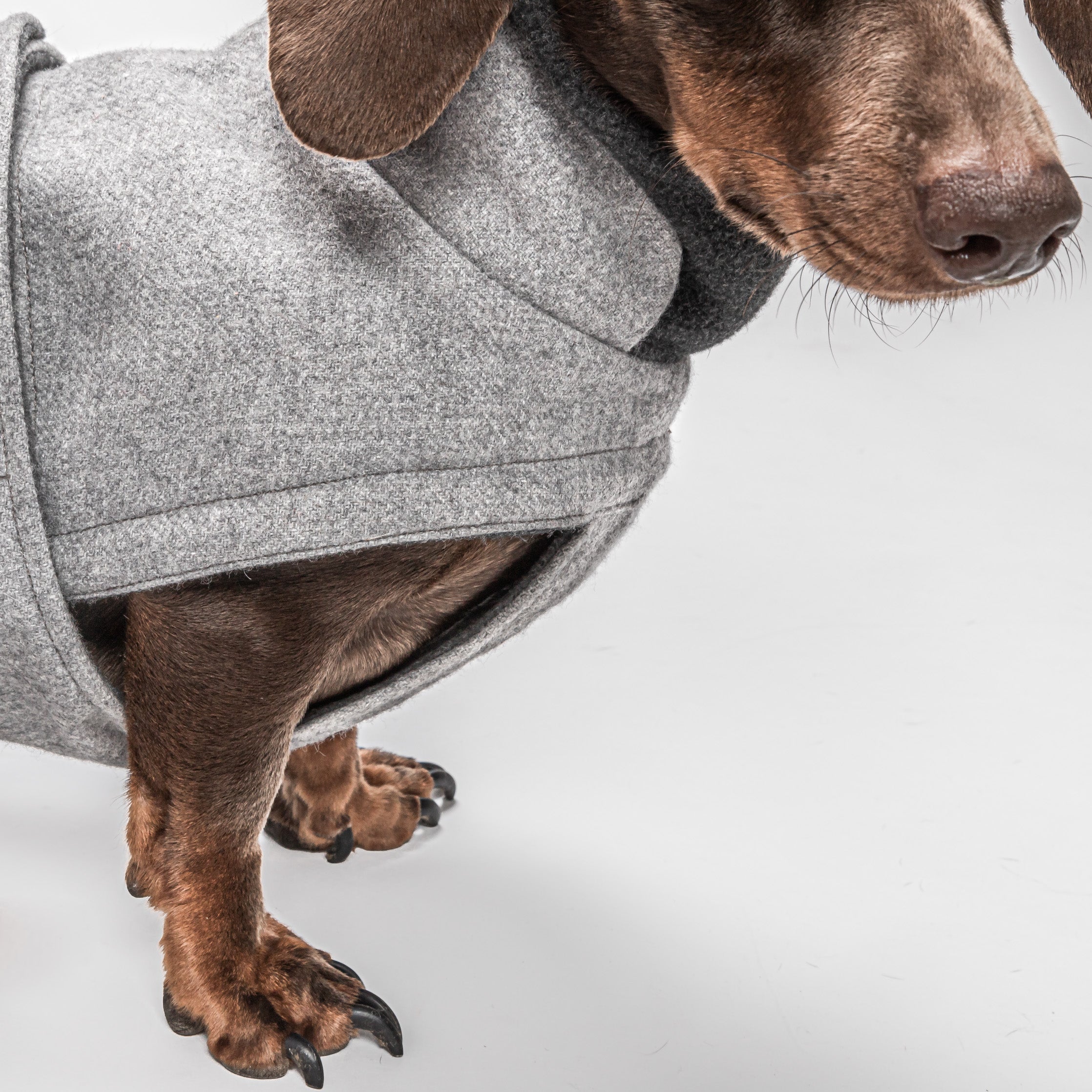 Cloud7 Hundemantel Brooklyn Dackel Flanell Grey