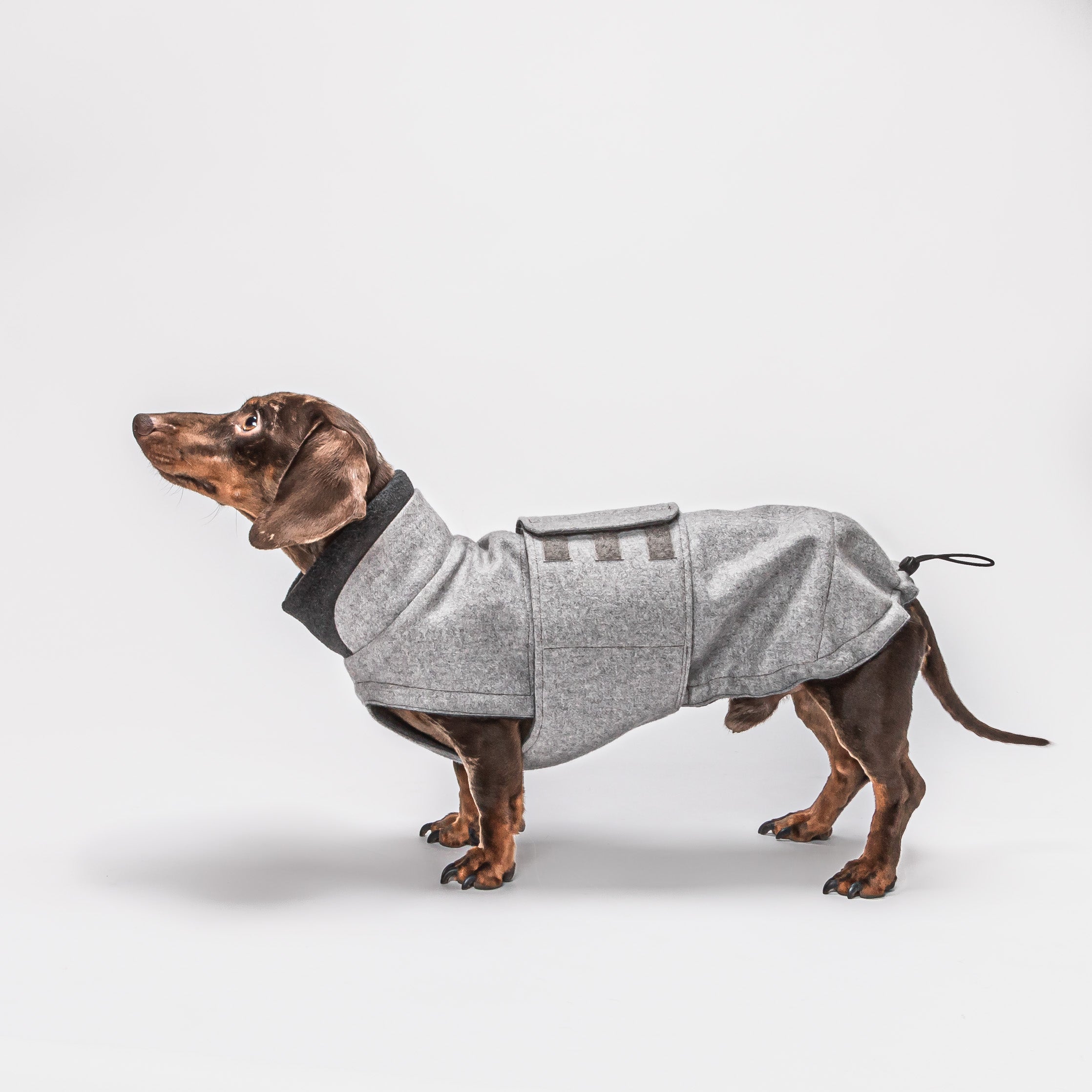 Cloud7 Hundemantel Brooklyn Dackel Flanell Grey Dackel Hundemantel