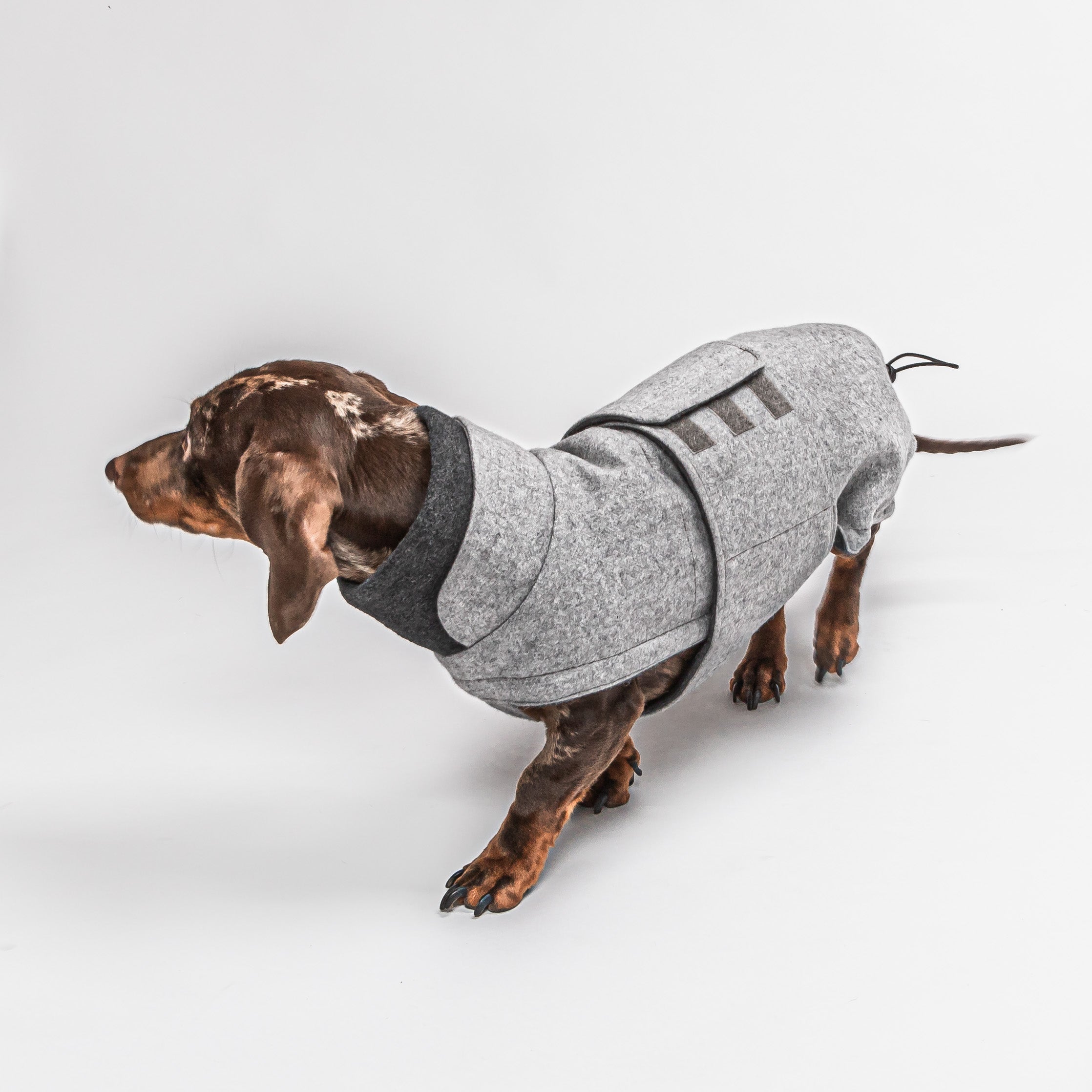 Cloud7 Hundemantel Brooklyn Dackel Flanell Grey Dackel Wintermantel