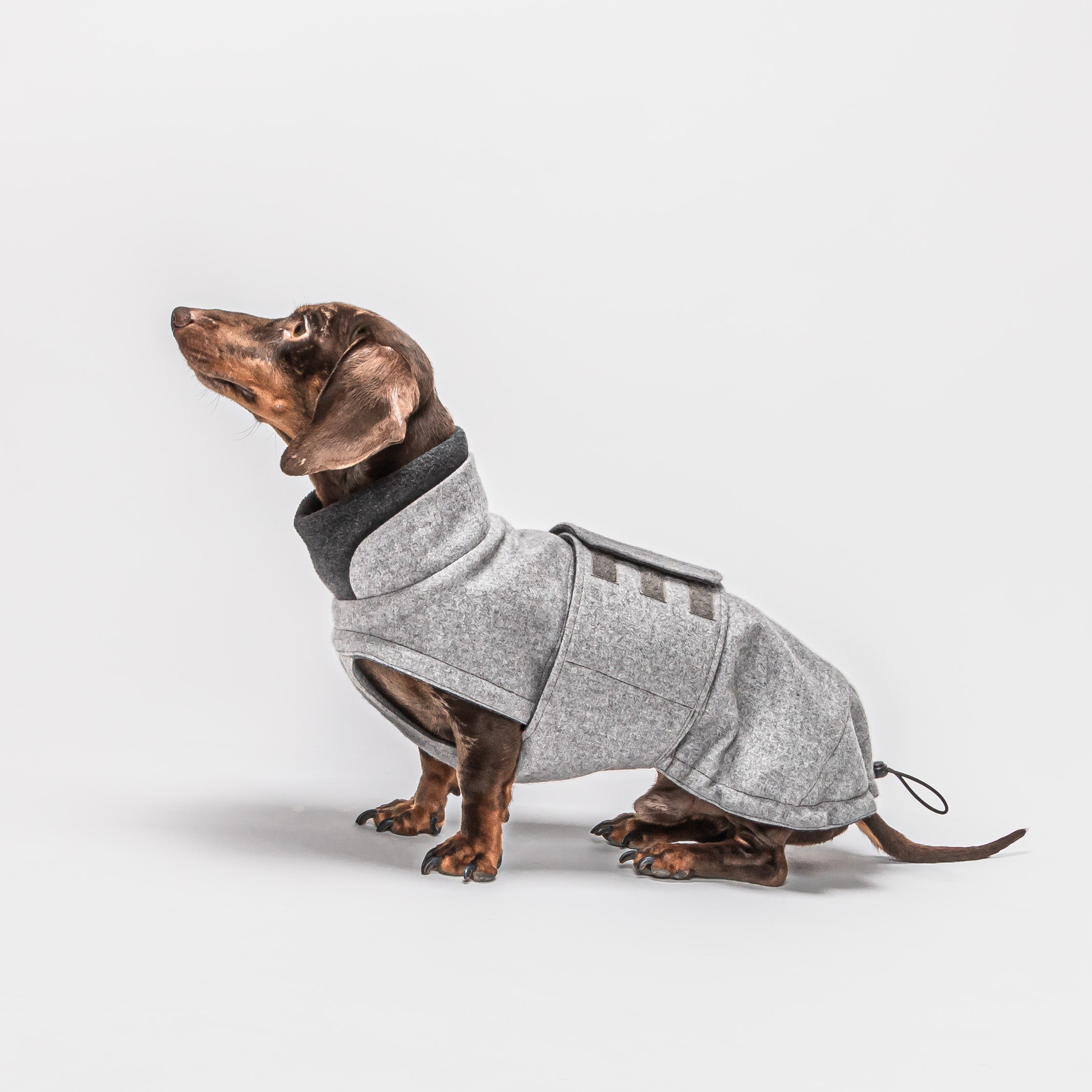 Cloud7 Hundemantel Brooklyn Dackel Flanell Grey Dackelmantel