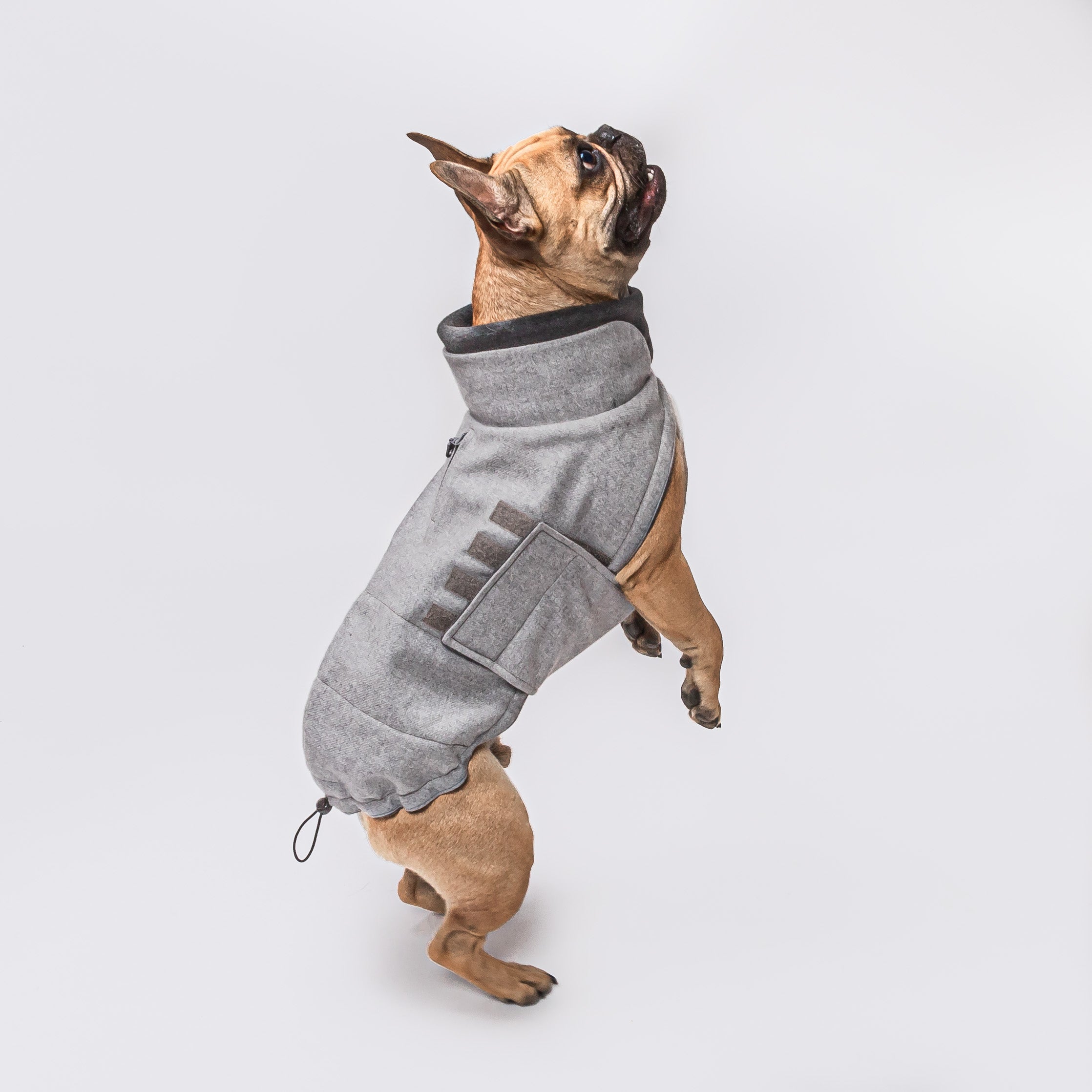 Cloud7 Hundemantel Brooklyn FRANZÖSISCHE BULLDOGGE Flanell Grey Hundemantel wasserabweisend