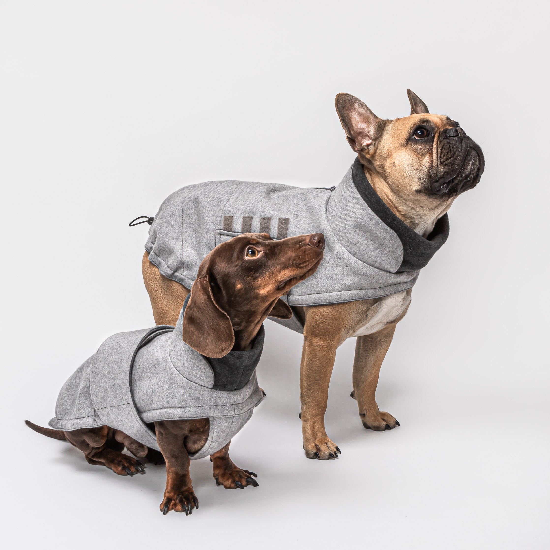 Cloud7 Hundemantel Brooklyn FRANZÖSISCHE BULLDOGGE Flanell Grey Hunderegenmantel
