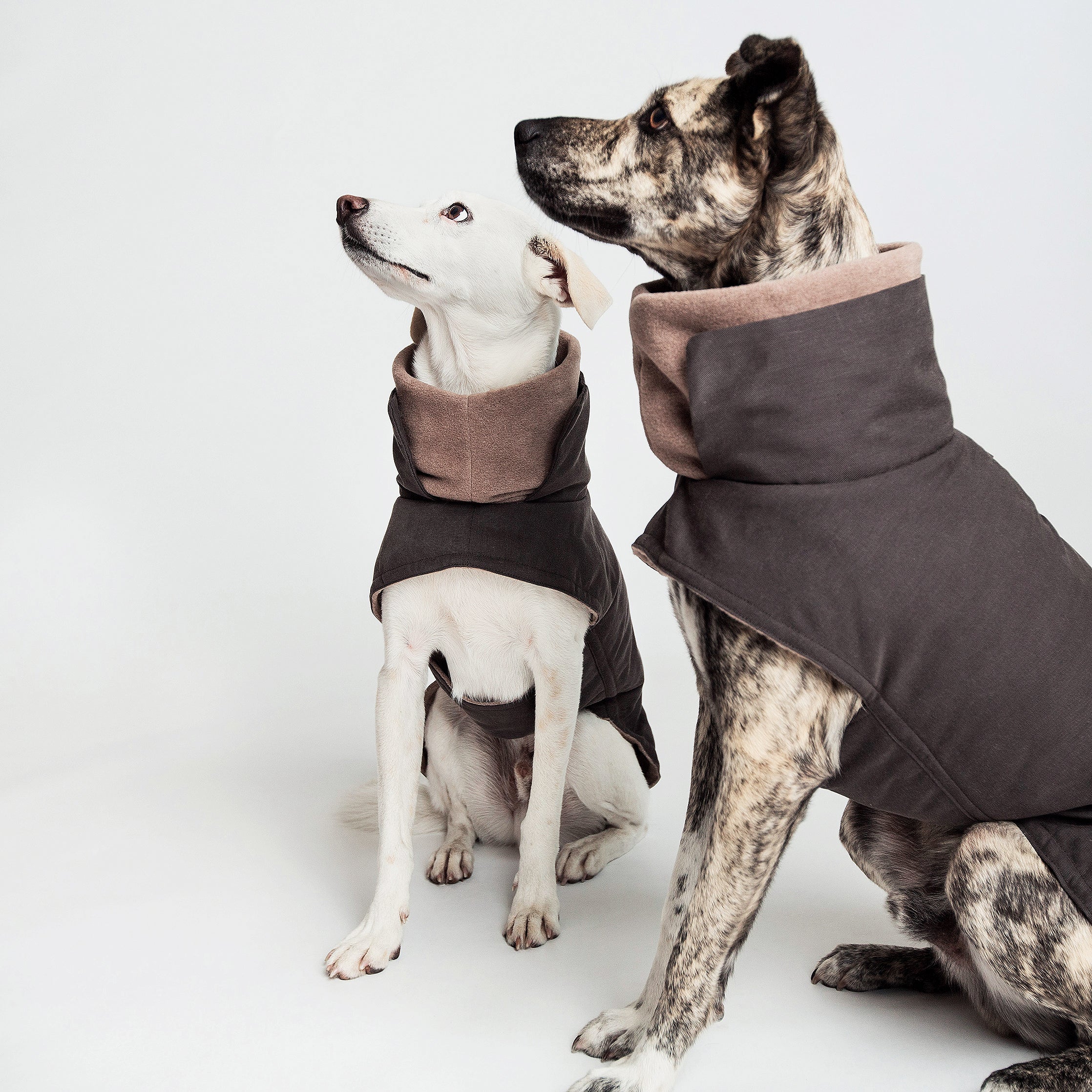 Hundemantel Brooklyn Graphit Hundejacke