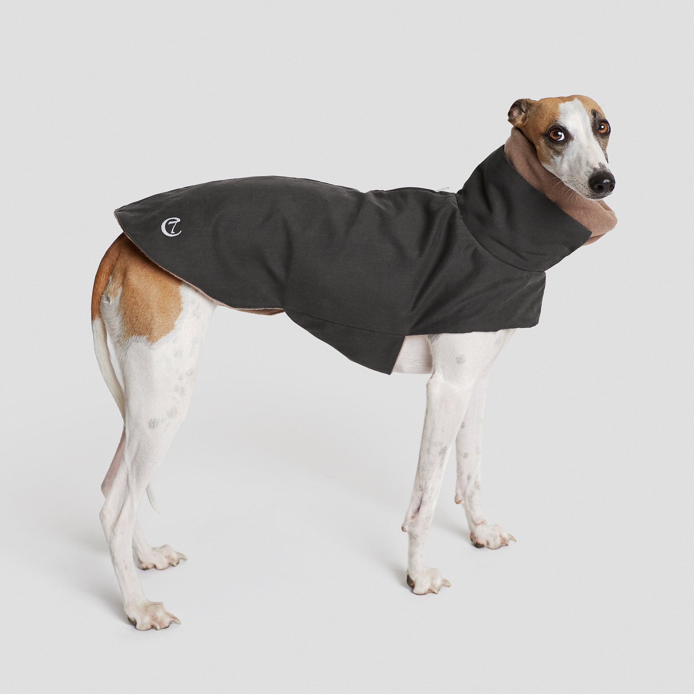 Hundemantel Brooklyn Graphit Hundejacke waschbar