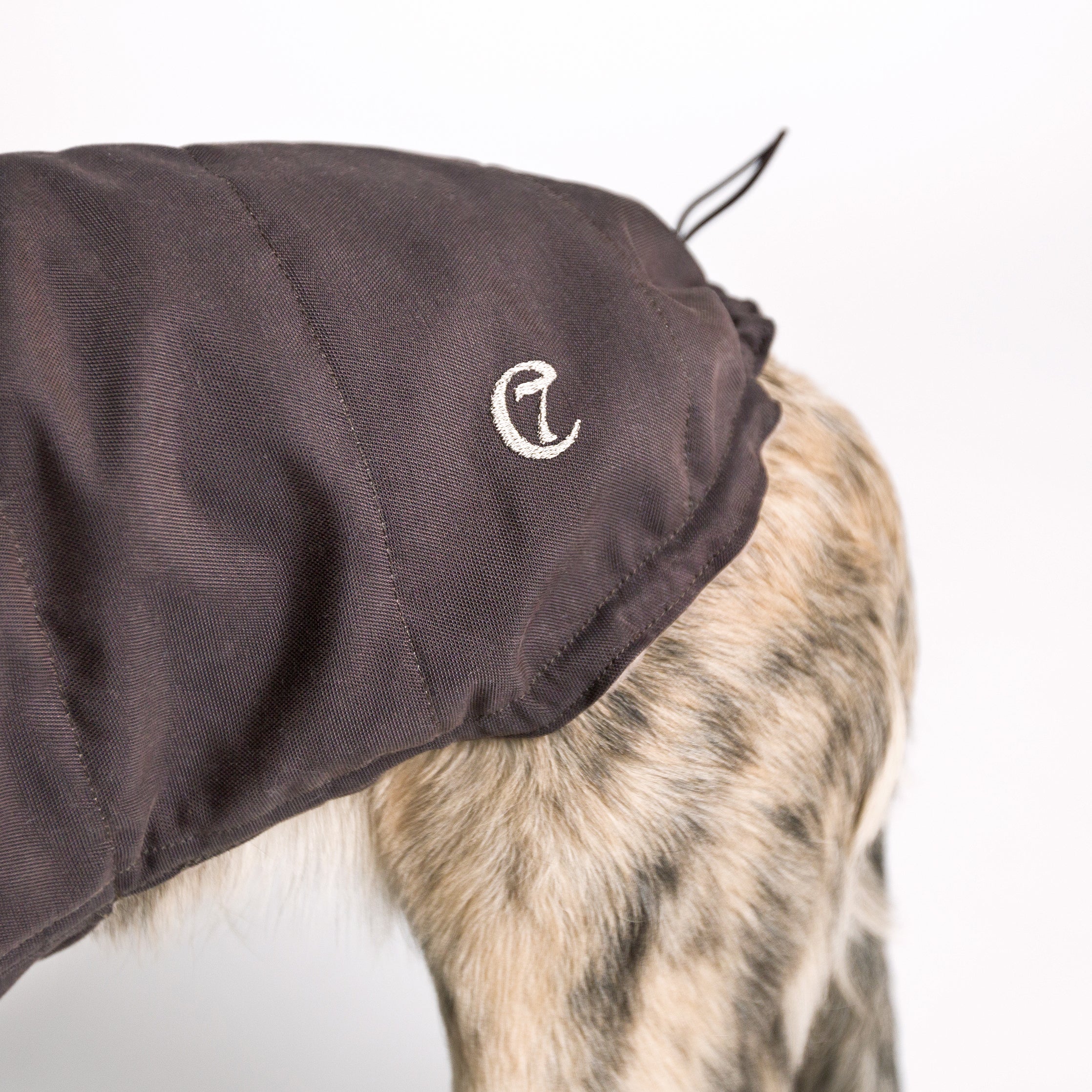 Hundemantel Brooklyn Graphit Hundemantel mit Bauchschutz