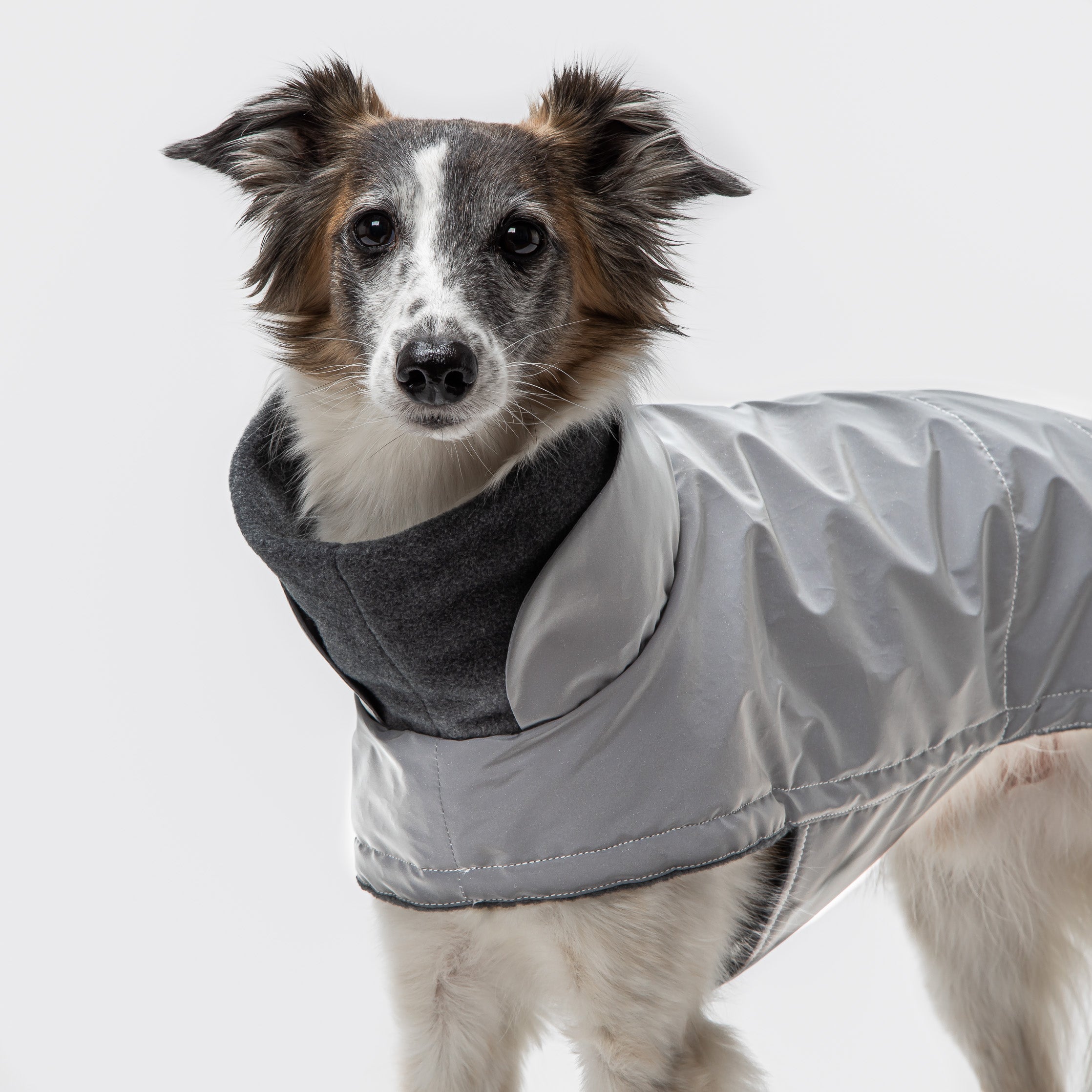 Cloud7 Hundemantel Brooklyn Reflective Hundejacke