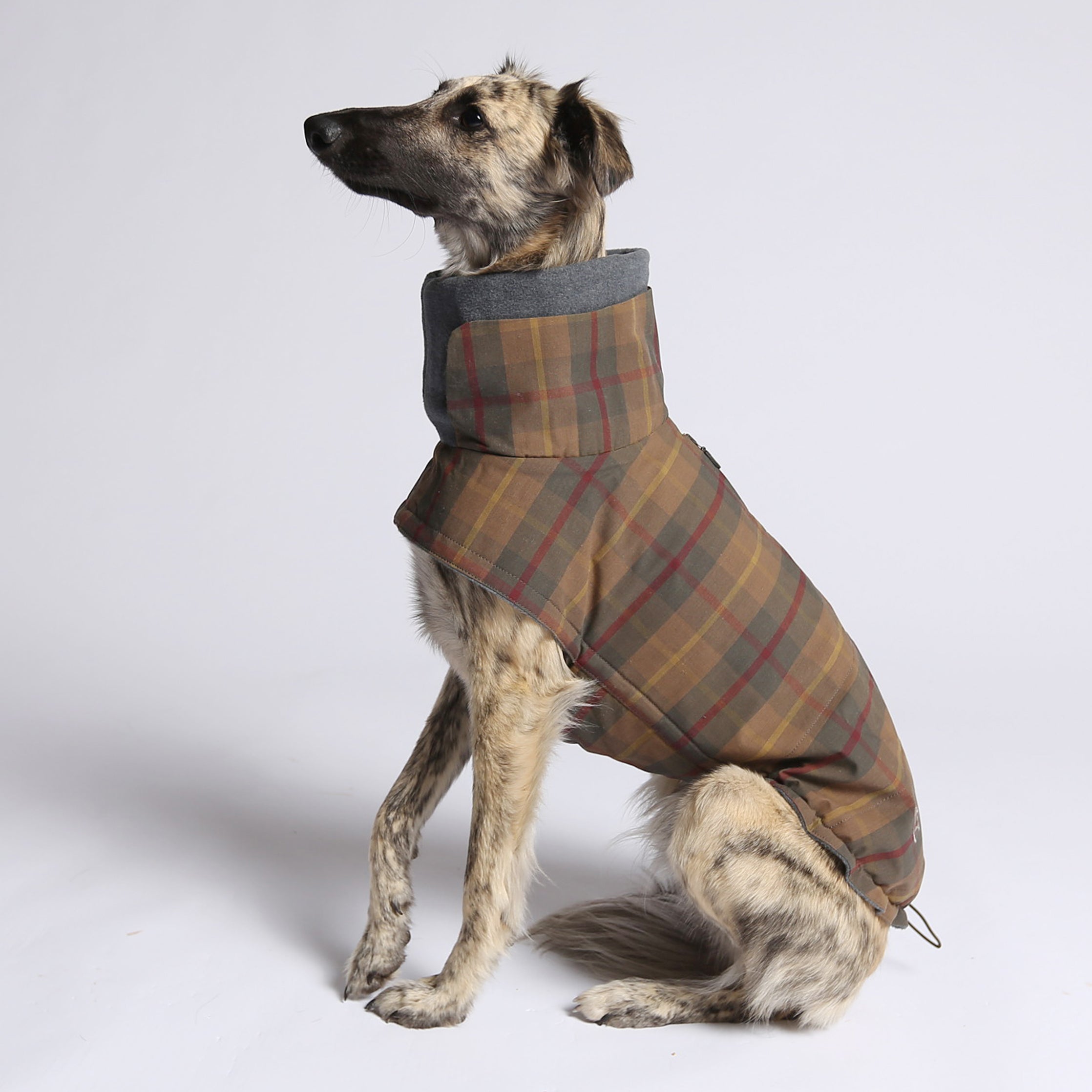 Cloud7 Hundemantel Brooklyn Waxed Tartan Hundemantel Fleece