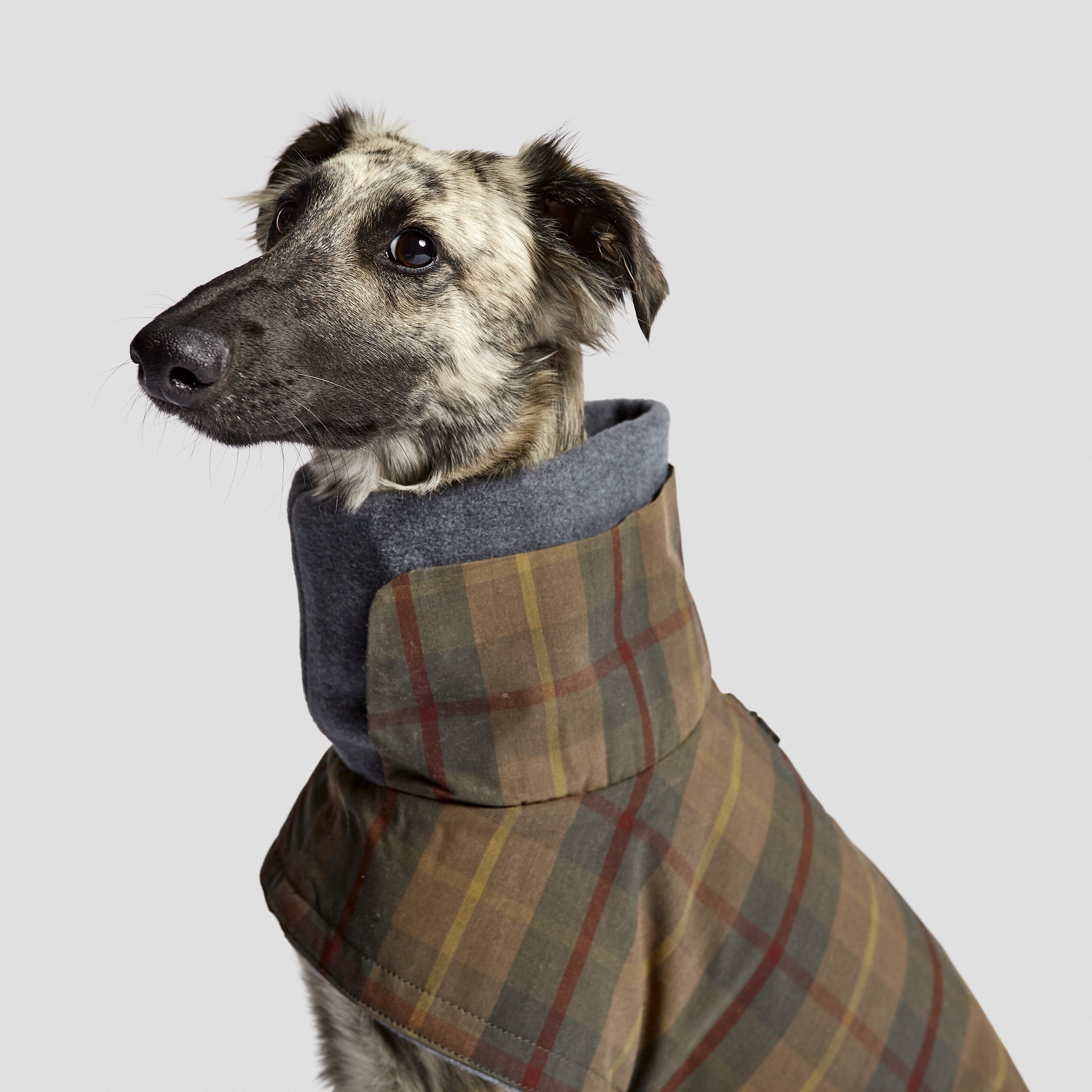 Cloud7 Hundemantel Brooklyn Waxed Tartan Hundemantel für Geschirrträger