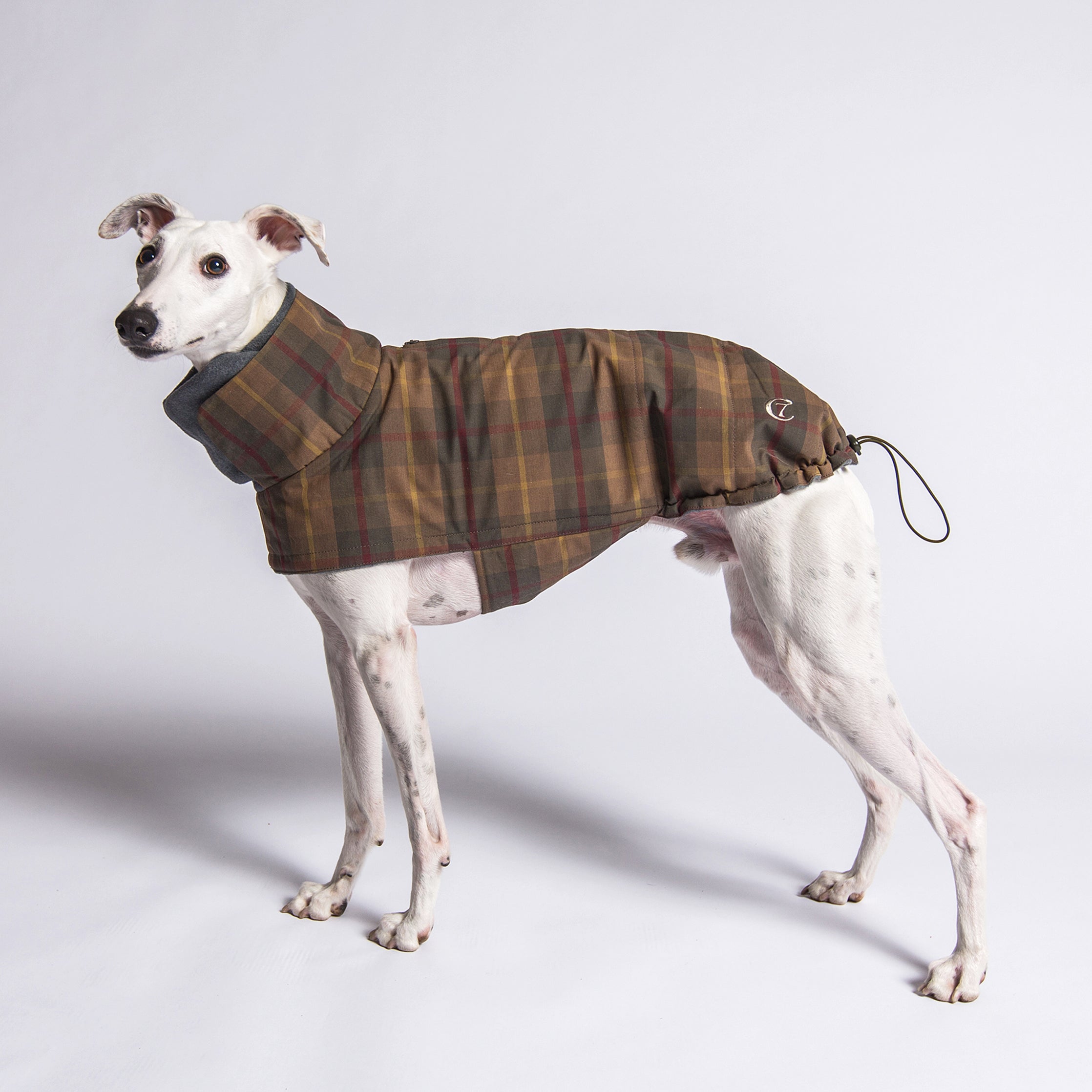 Cloud7 Hundemantel Brooklyn Waxed Tartan Hundemantel mit geschlossenem Bauch