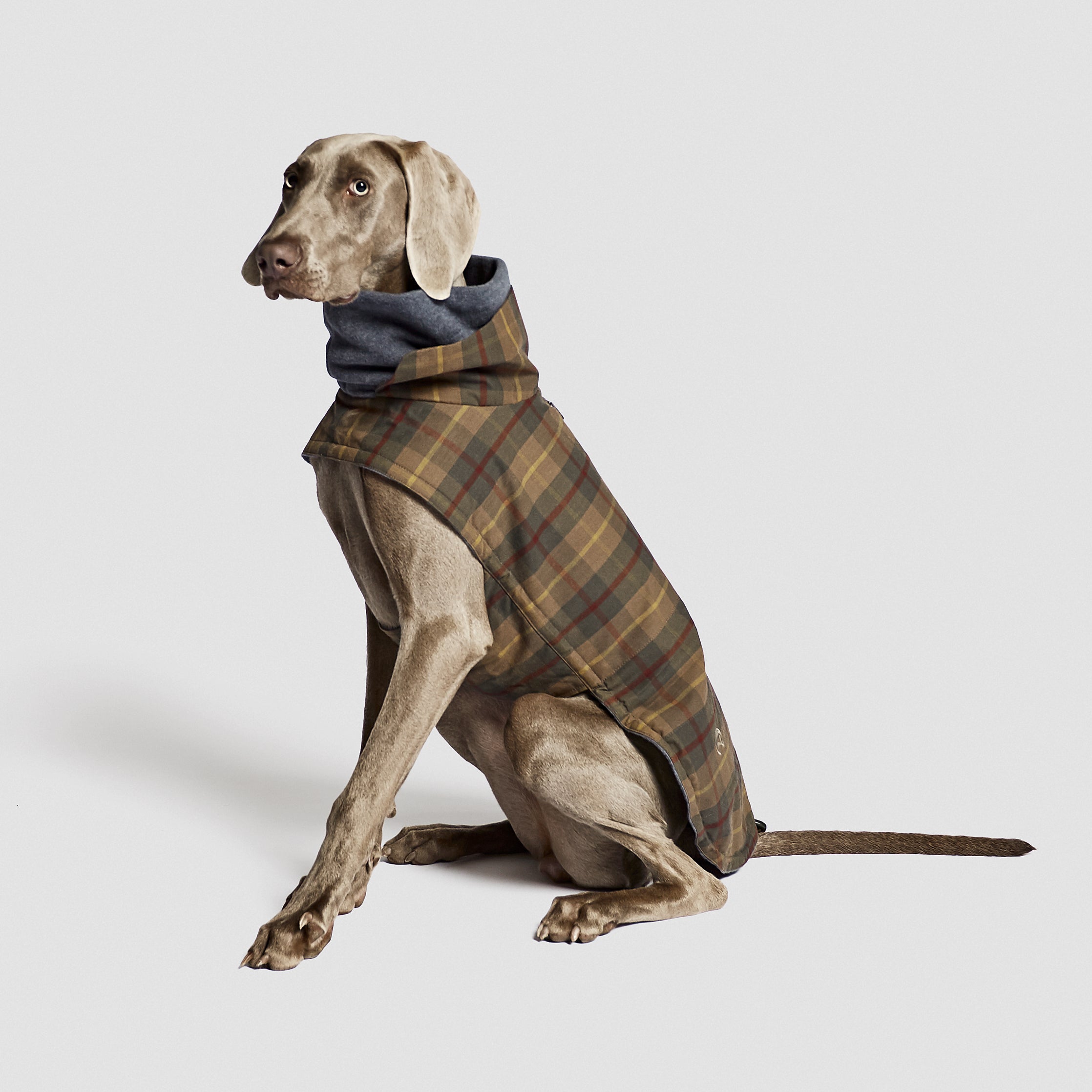 Cloud7 Hundemantel Brooklyn Waxed Tartan Hundemantel wasserabweisend