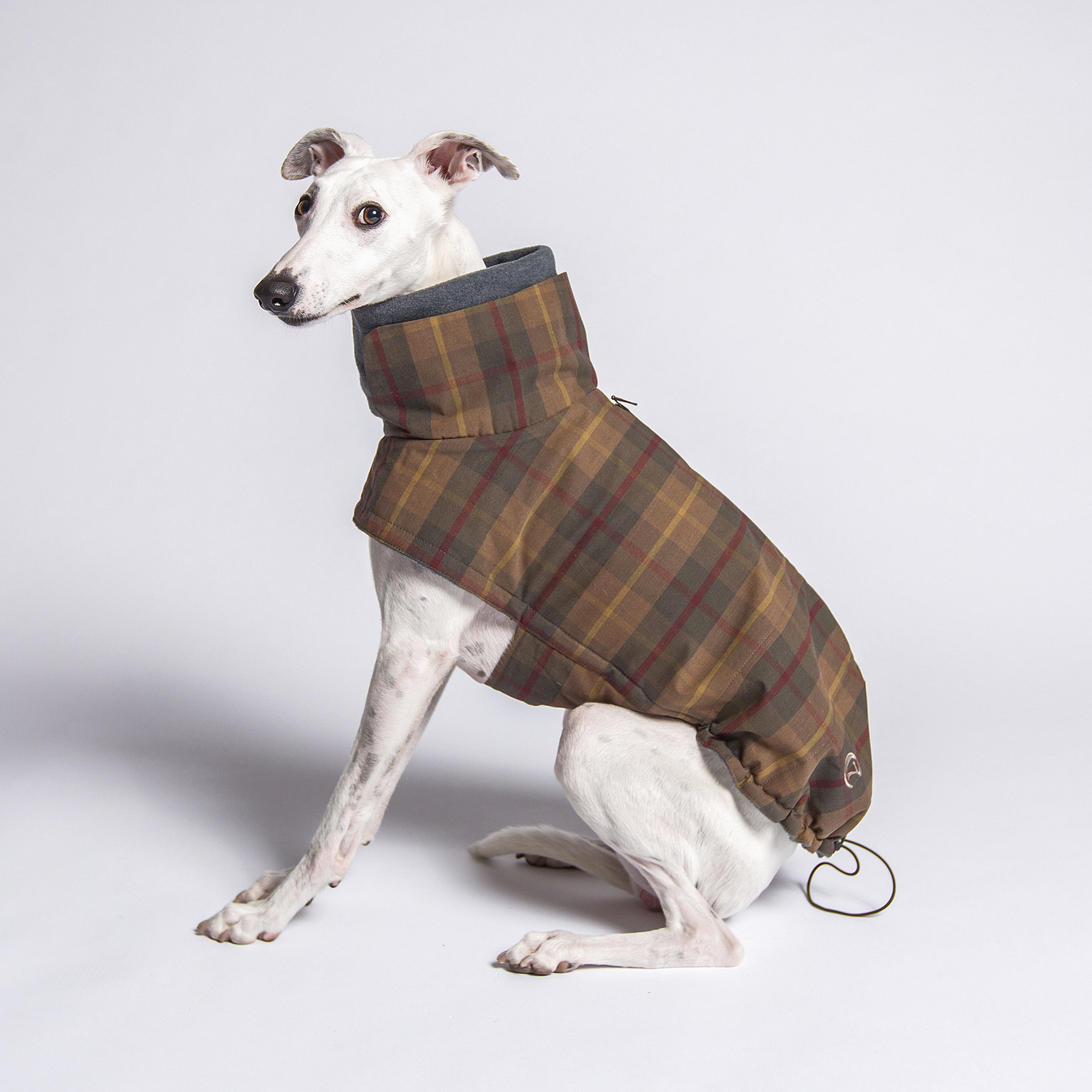 Cloud7 Hundemantel Brooklyn Waxed Tartan Hundemantel wasserdicht