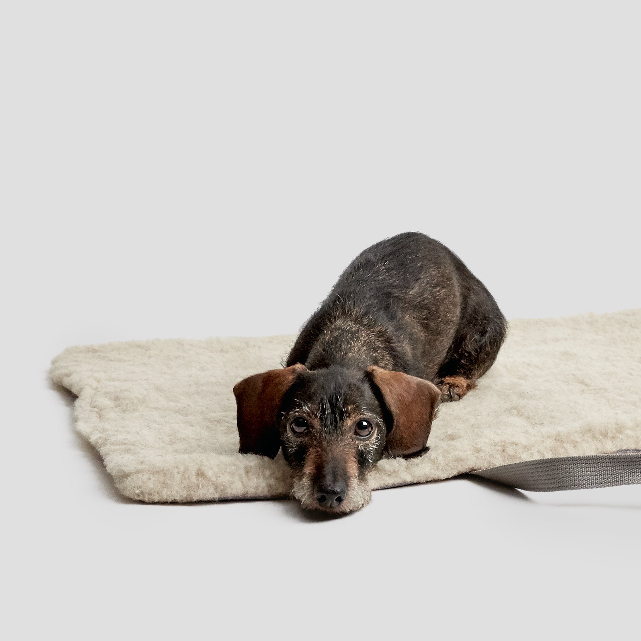 Cloud7 Hundereisebett Tweed Grey Offen Hundematte