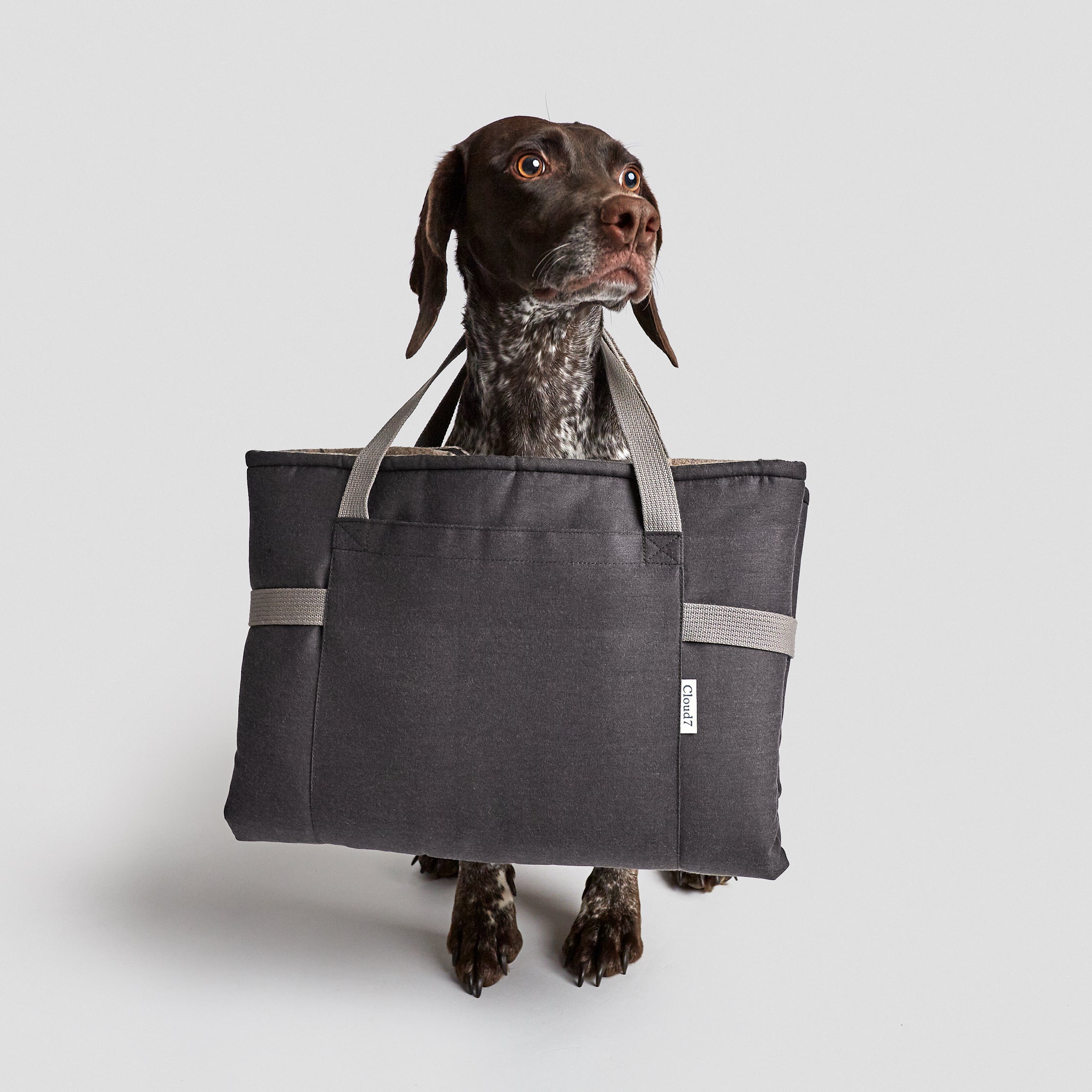 Cloud7 Hundereisebett Wasserabweisend Graphite - Sand Hundematte