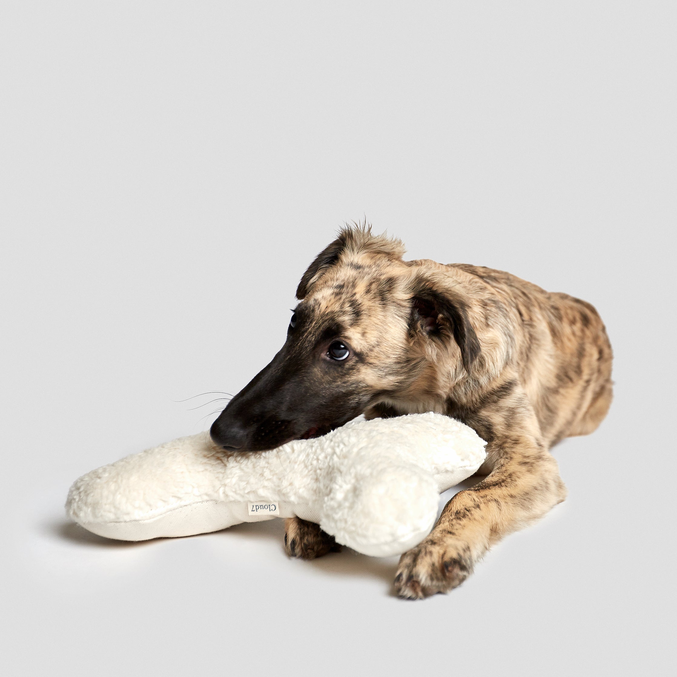 Cloud7 Spielzeug Love Bone Weiß Plüsch Welpen