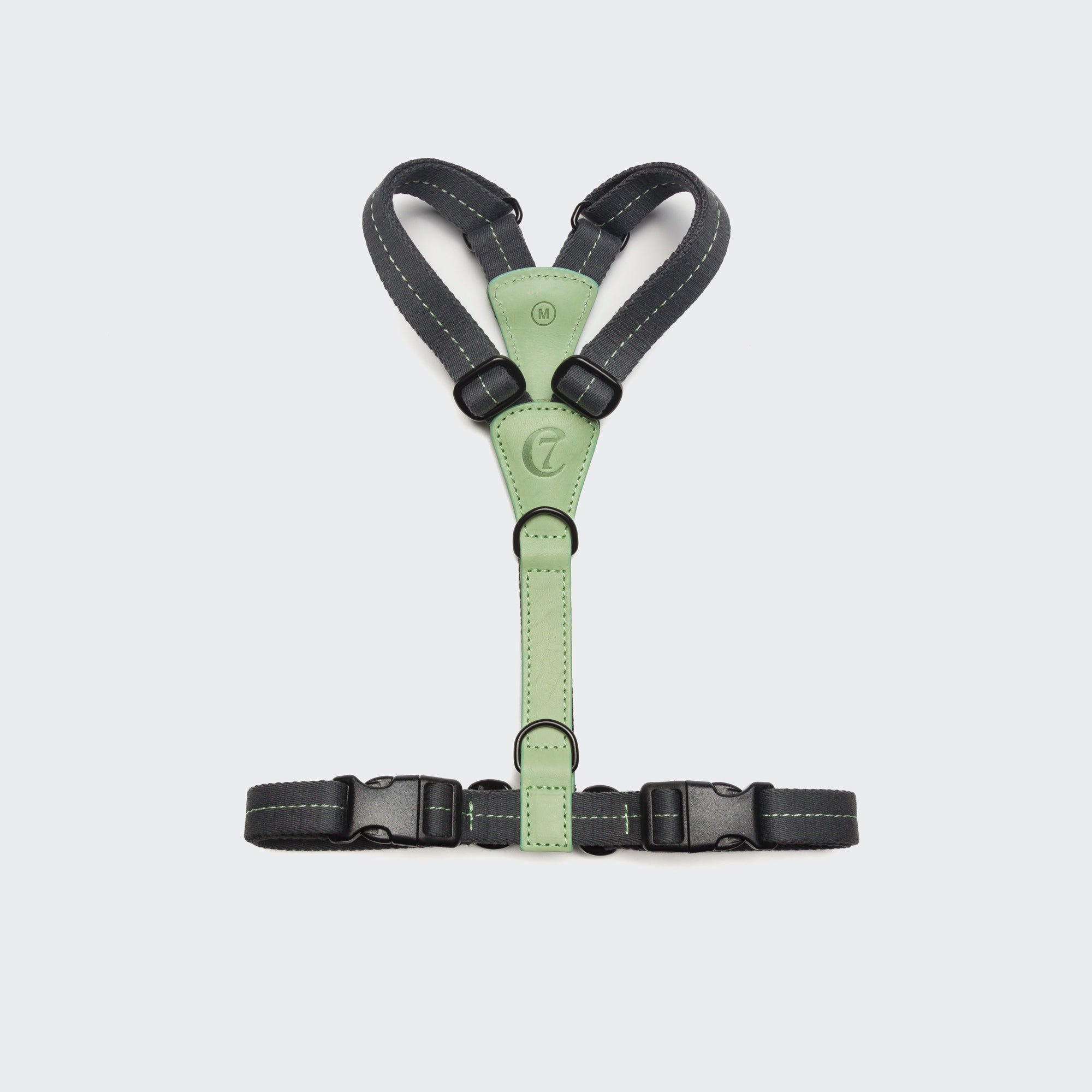 Cloud7 Y-Hundegeschirr Madeira Mint Hundegeschirr mit Leder