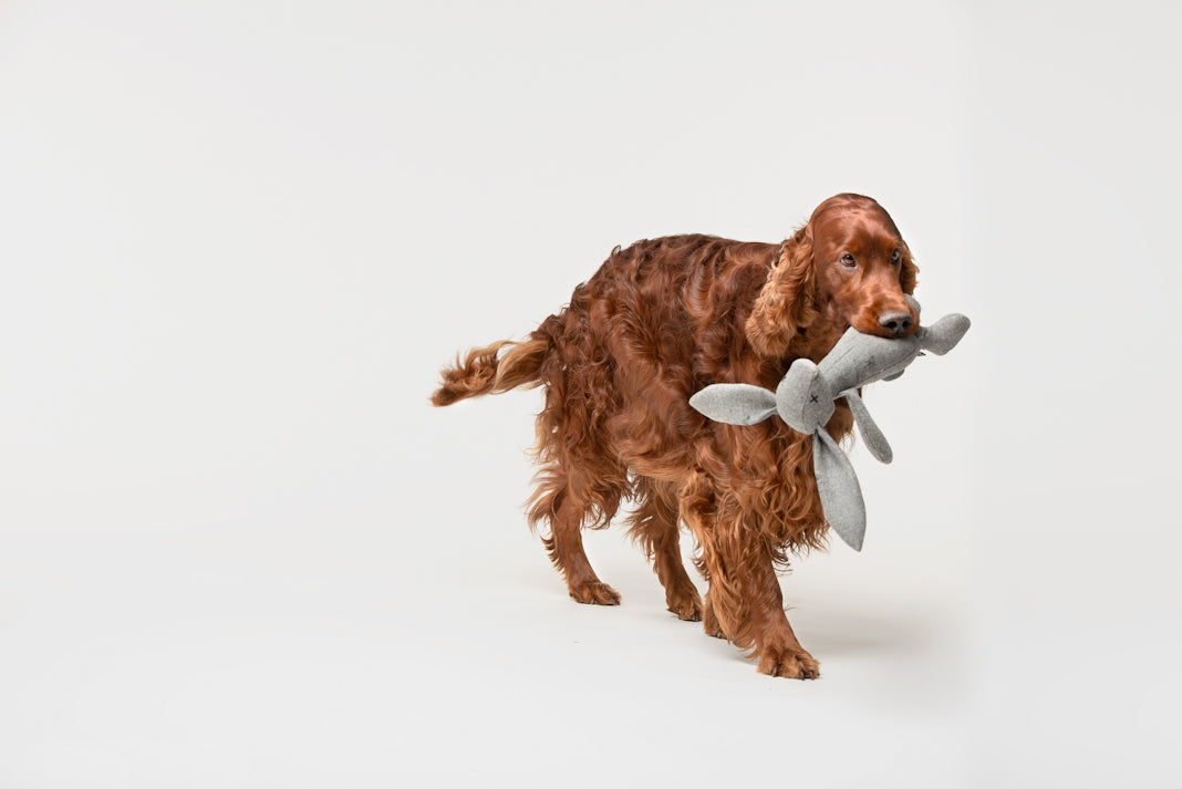 Lilly Plüsch Hundespielzeug Kaninchen Rupert Hundespielzeug