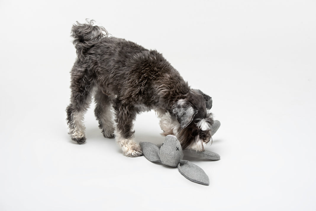 Lilly Plüsch Hundespielzeug Kaninchen Rupert Spielzeug für Welpen