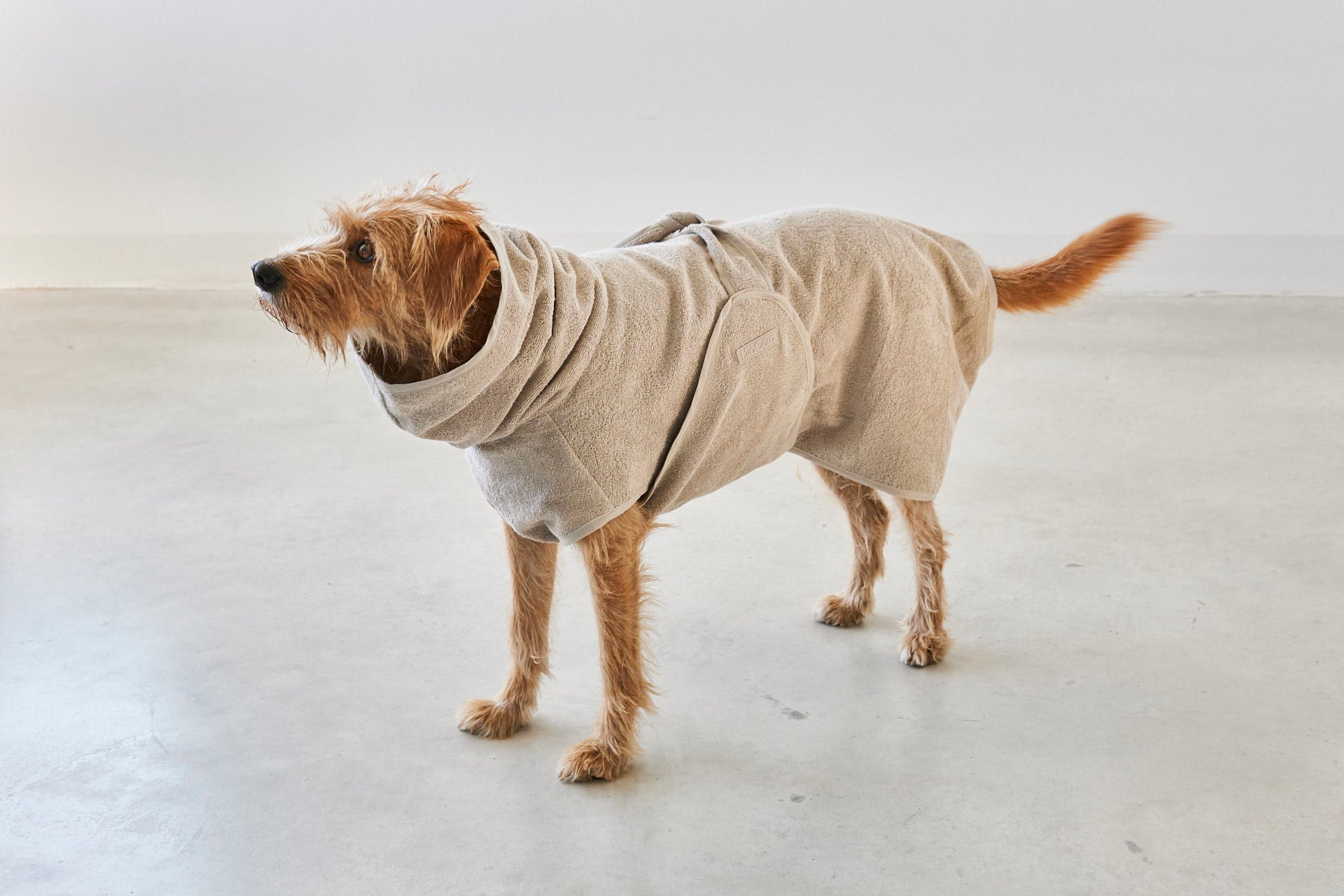 MiaCara Bagno Hundebademantel Greige Fellpflege