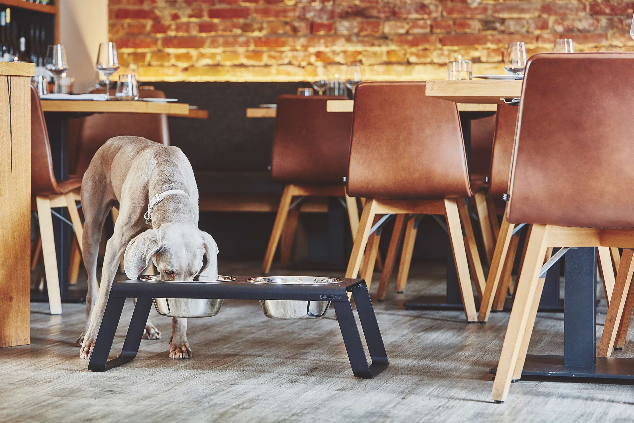 MiaCara Desco Napfständer Alu Schwarz L Hundenapf