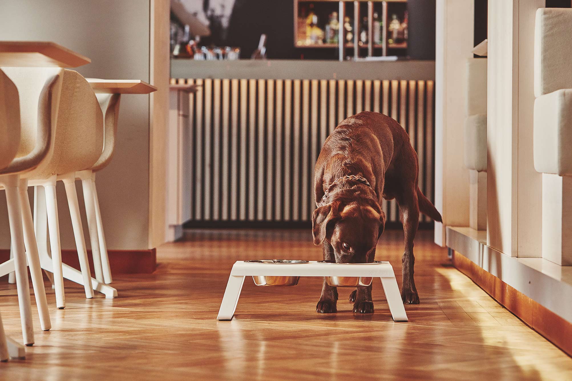 MiaCara Desco Napfständer Alu Weiß M Hundenapf