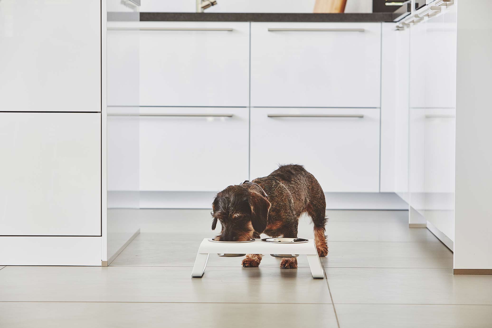 MiaCara Desco Napfständer Alu Weiß S Napf