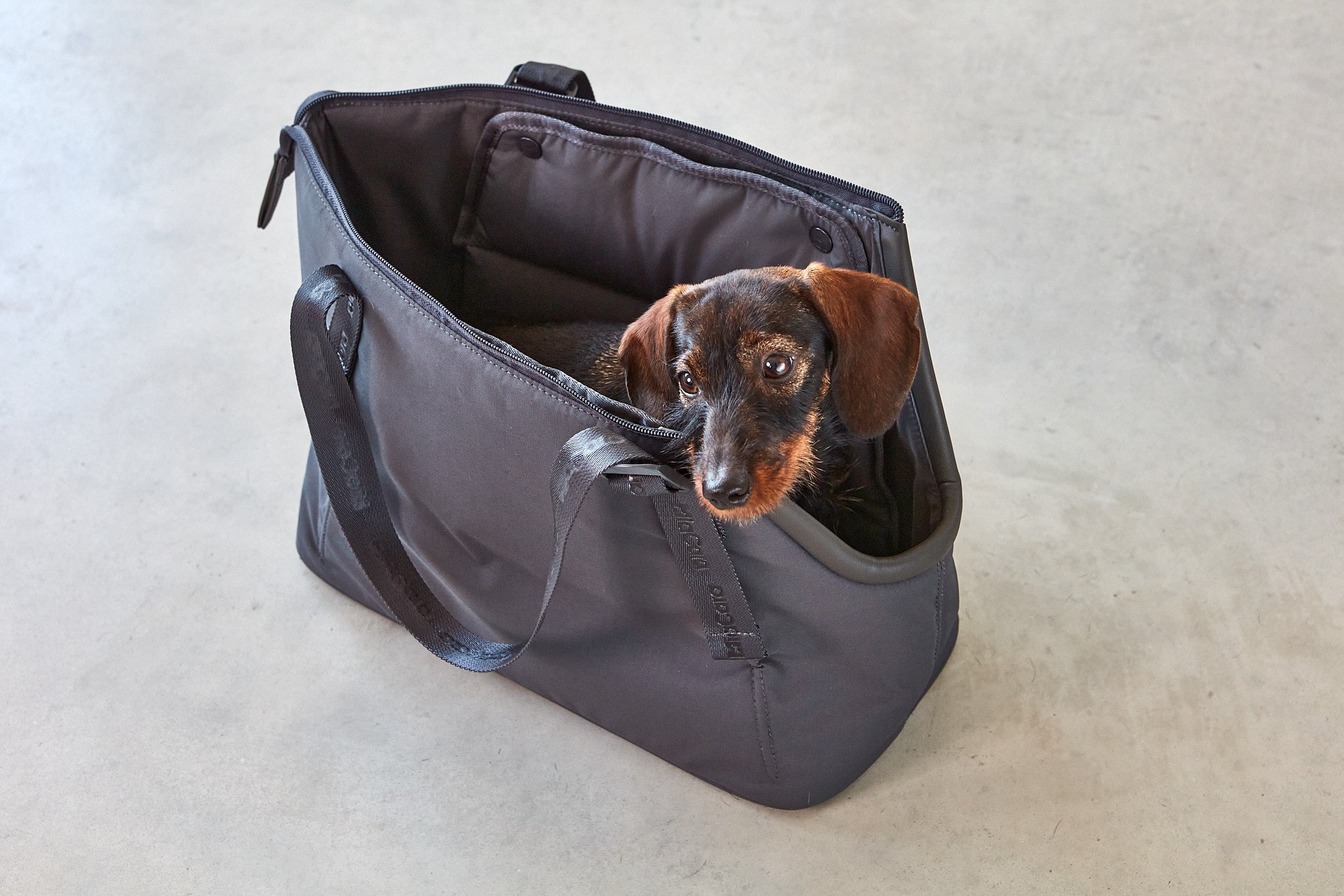 MiaCara Sporta Hundetragetasche Asphalt S Hundetasche kleine Hunde