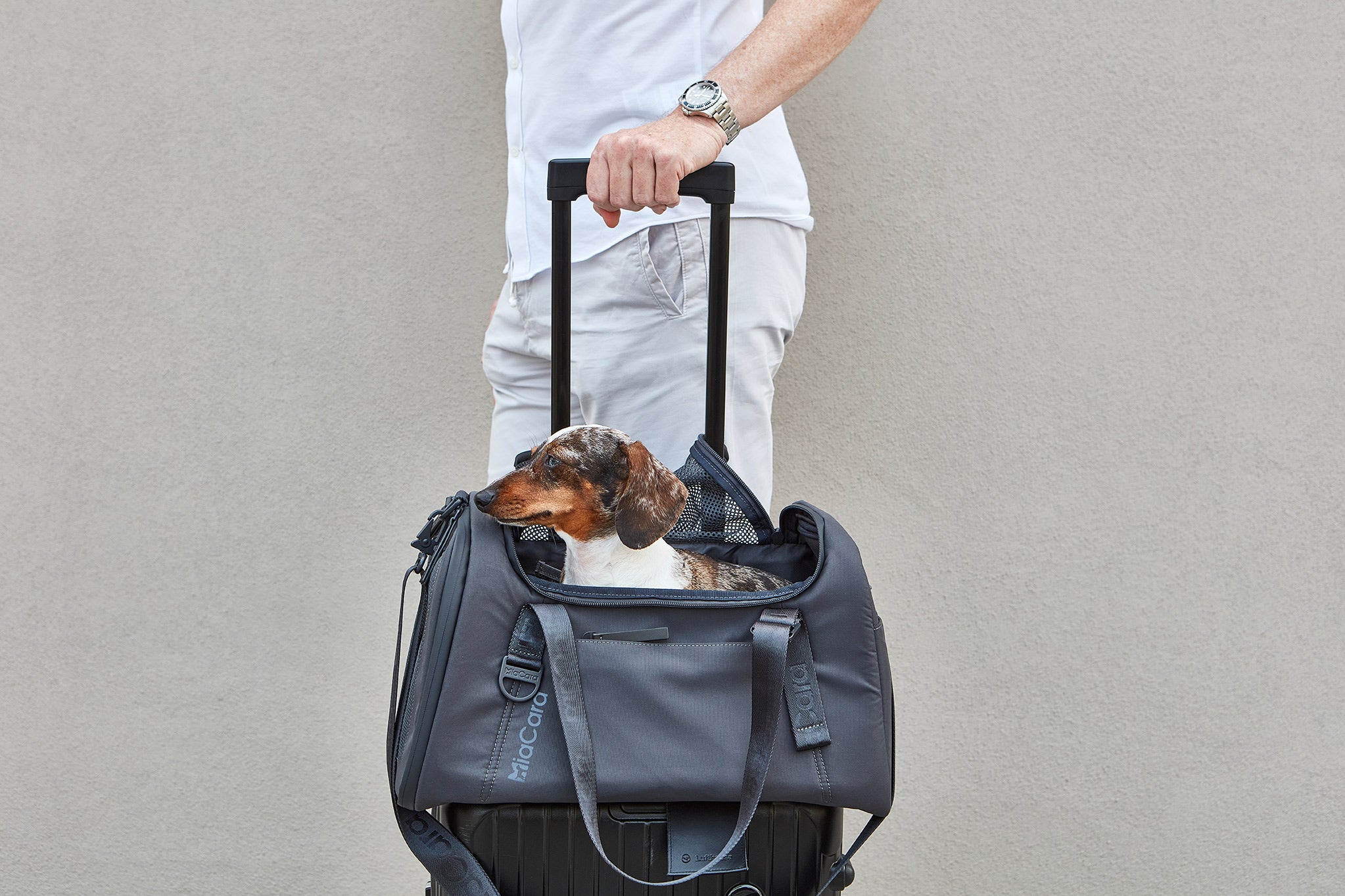 MiaCara Volata Flugreisetasche Asphalt Fliegen mit Hund