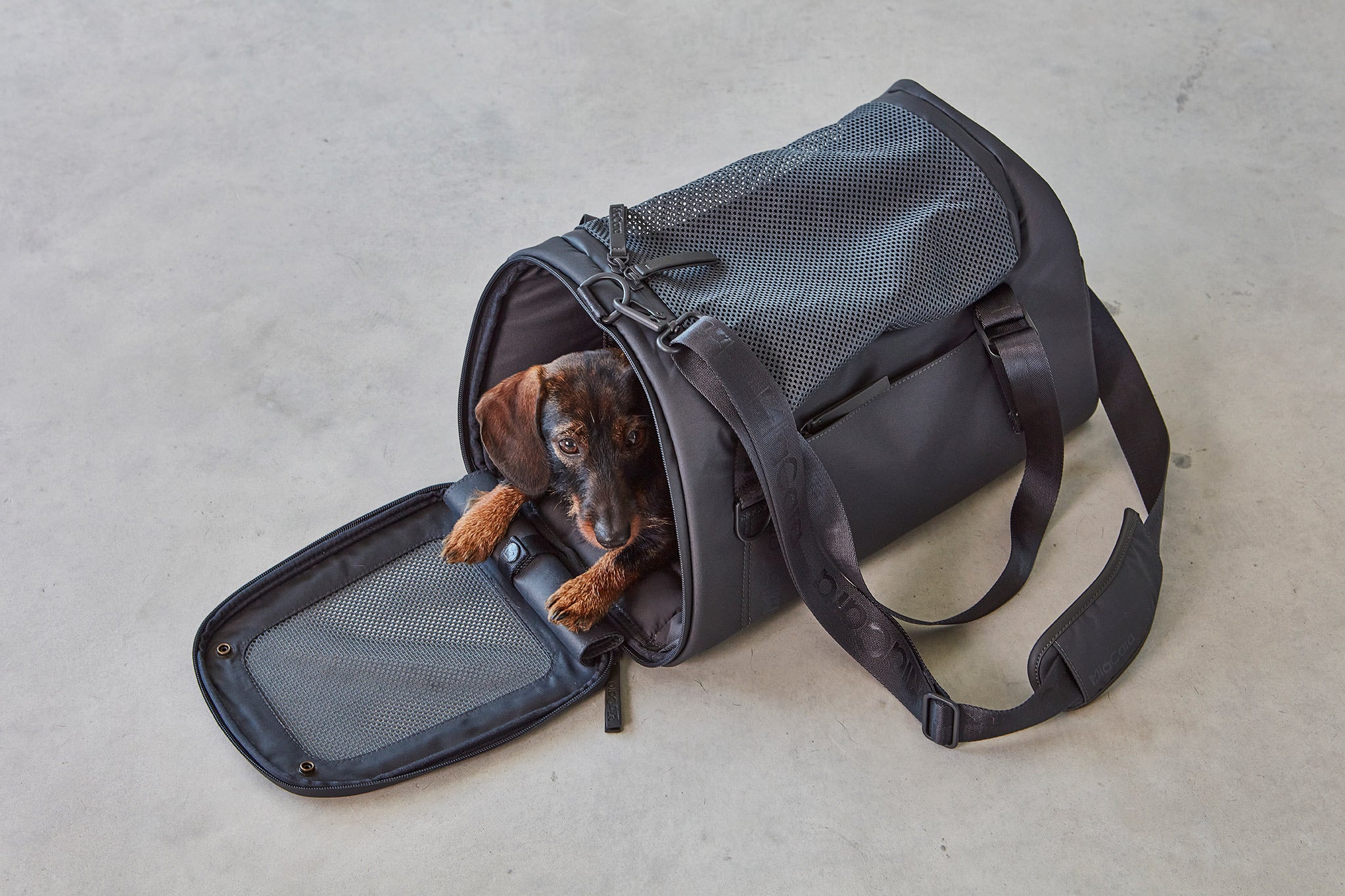 MiaCara Volata Flugreisetasche Asphalt Flugzeugreise mit Hund