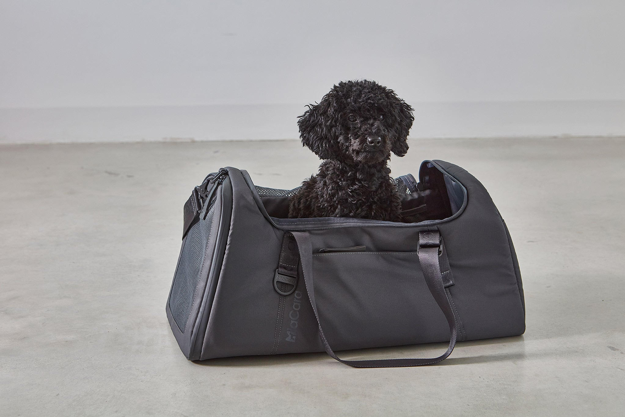 MiaCara Volata Flugreisetasche Asphalt Hundetasche klein