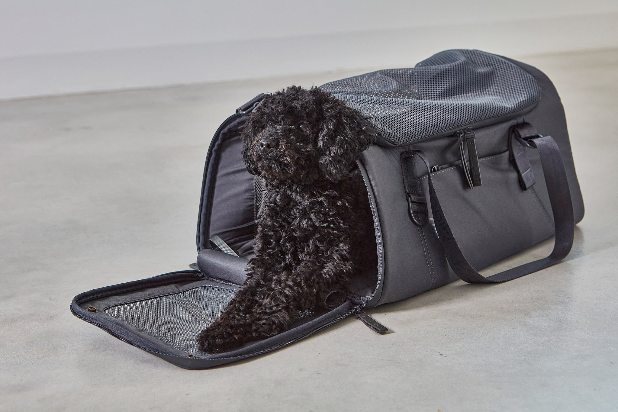 MiaCara Volata Flugreisetasche Asphalt Hundetasche kleiner Hund